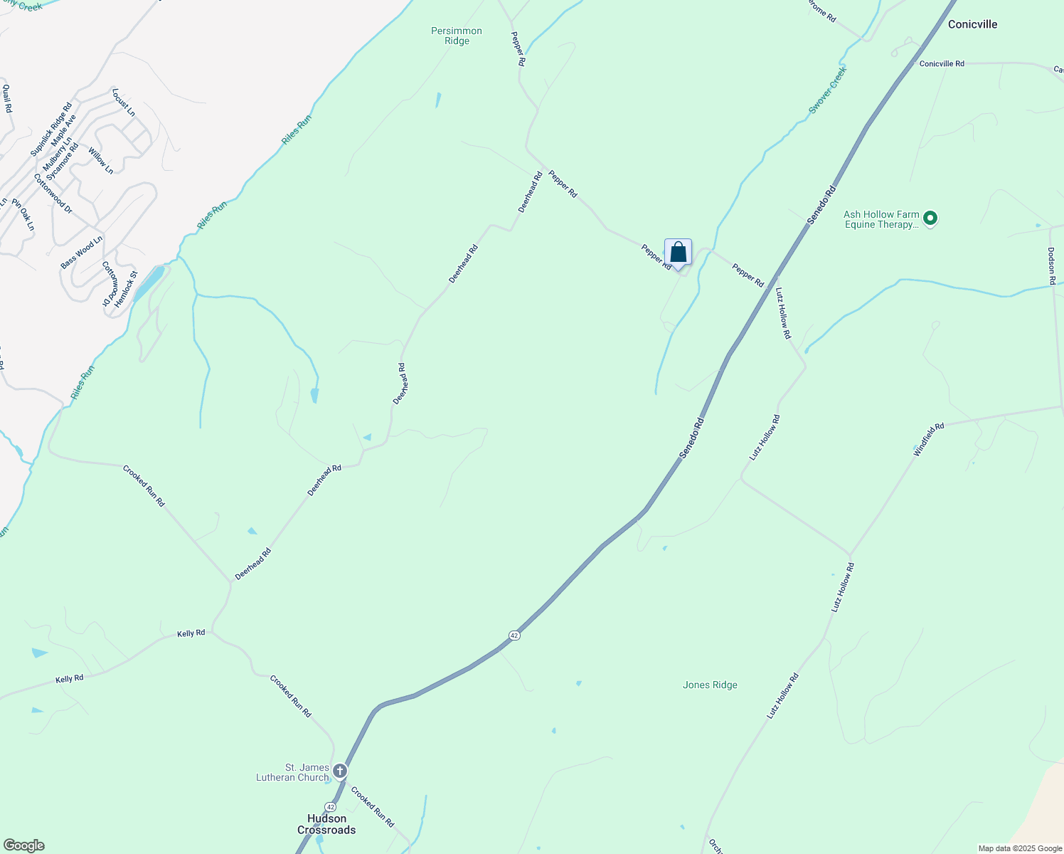 map of restaurants, bars, coffee shops, grocery stores, and more near 351 Tower Mountain Lane in Mount Jackson