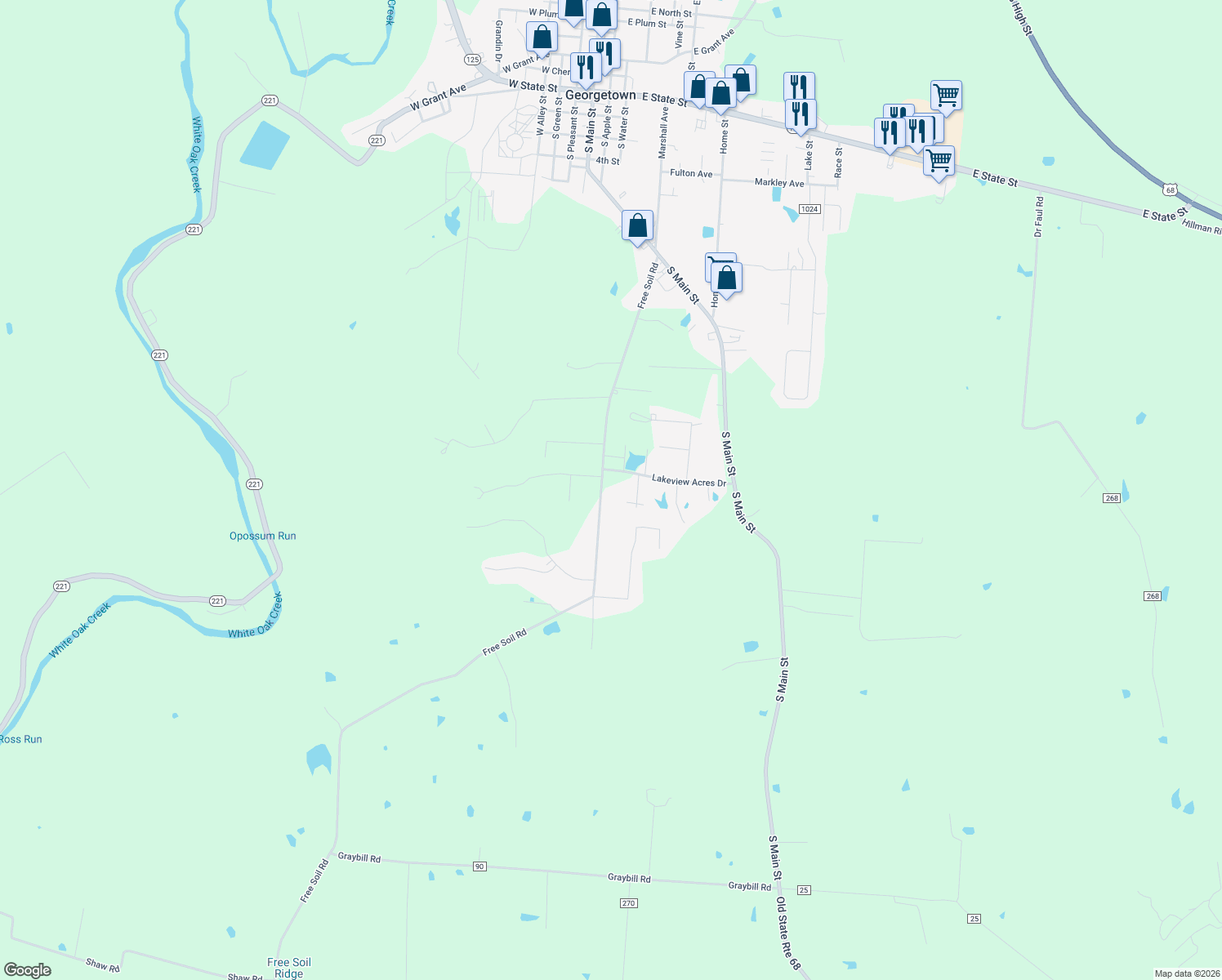 map of restaurants, bars, coffee shops, grocery stores, and more near 363 Free Soil Road in Georgetown