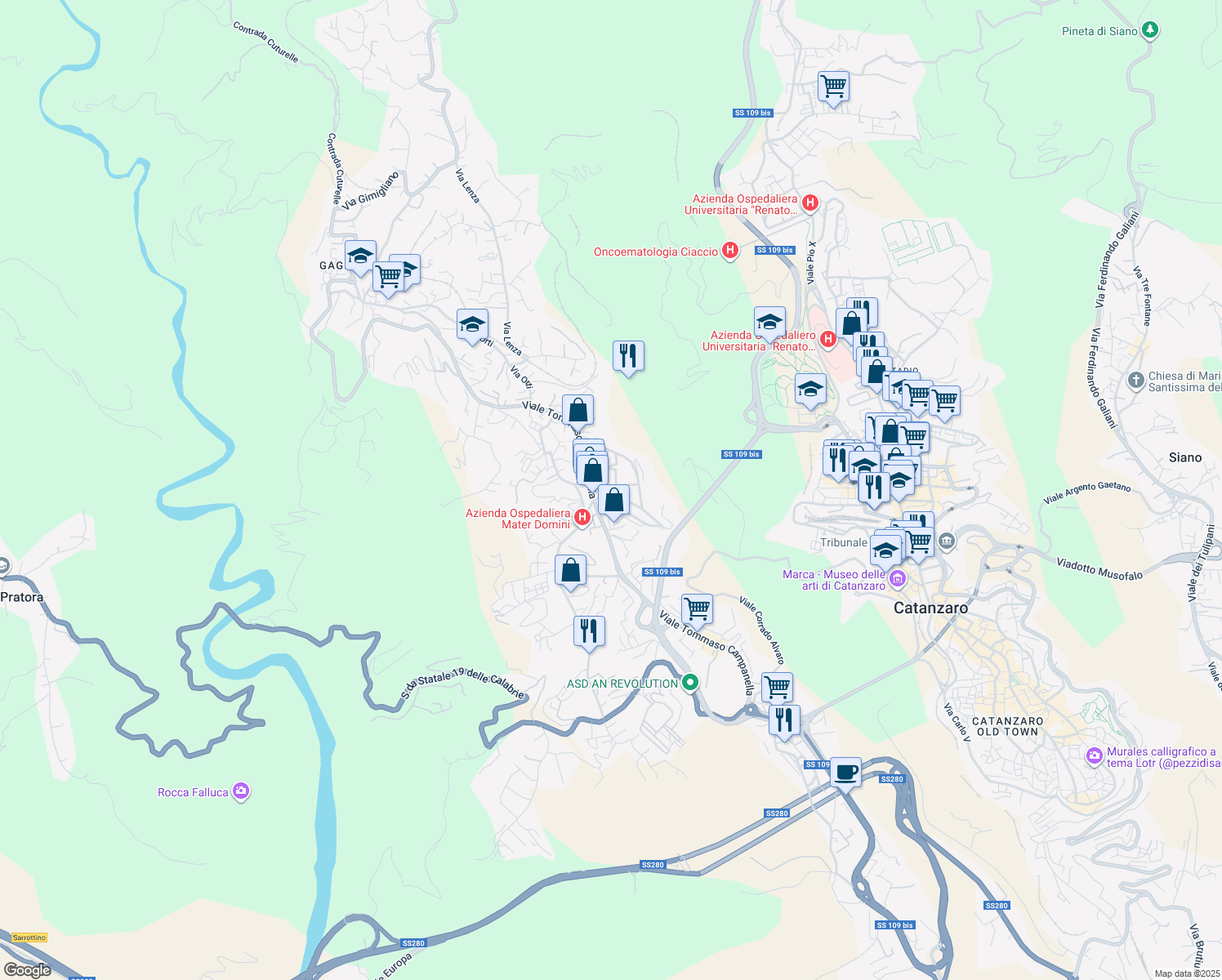 map of restaurants, bars, coffee shops, grocery stores, and more near 96 Viale Tommaso Campanella in Catanzaro
