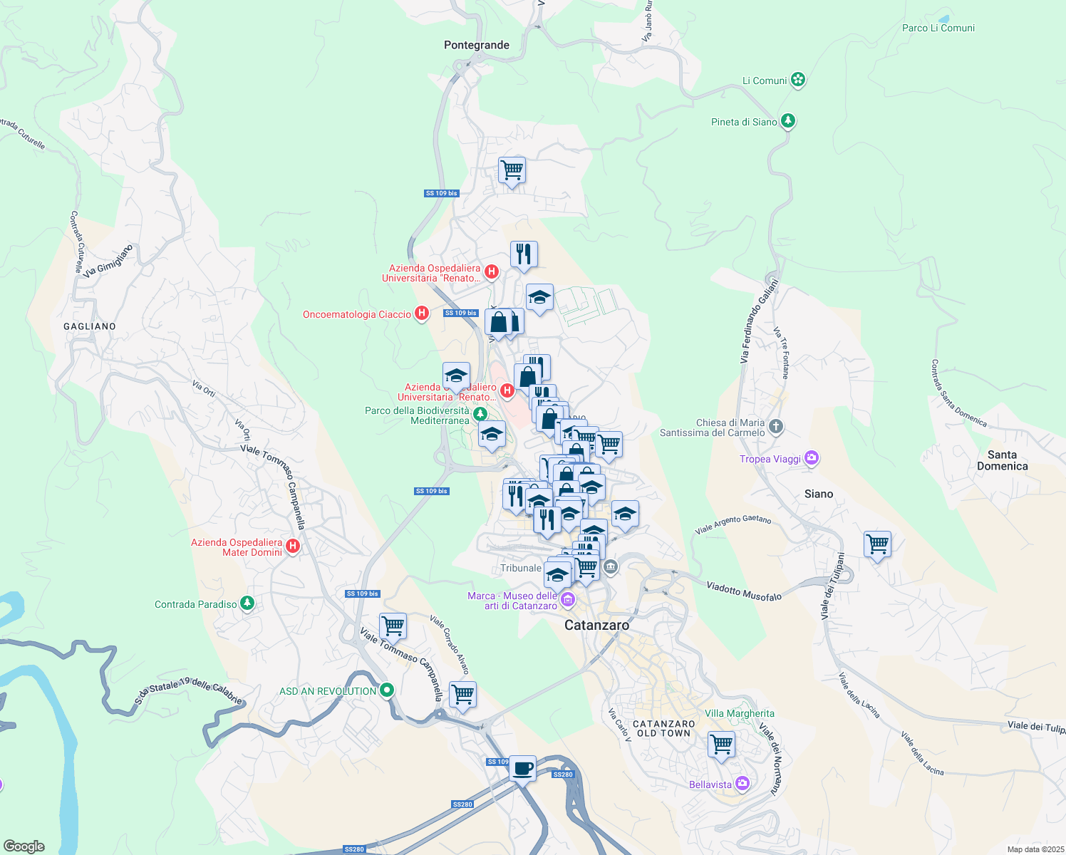 map of restaurants, bars, coffee shops, grocery stores, and more near Viale Università in Catanzaro
