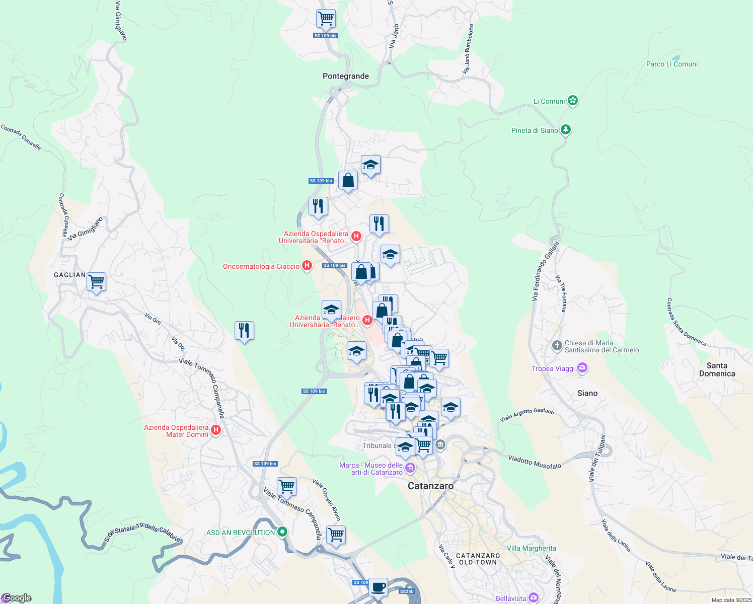 map of restaurants, bars, coffee shops, grocery stores, and more near 162 Viale Pio X in Catanzaro