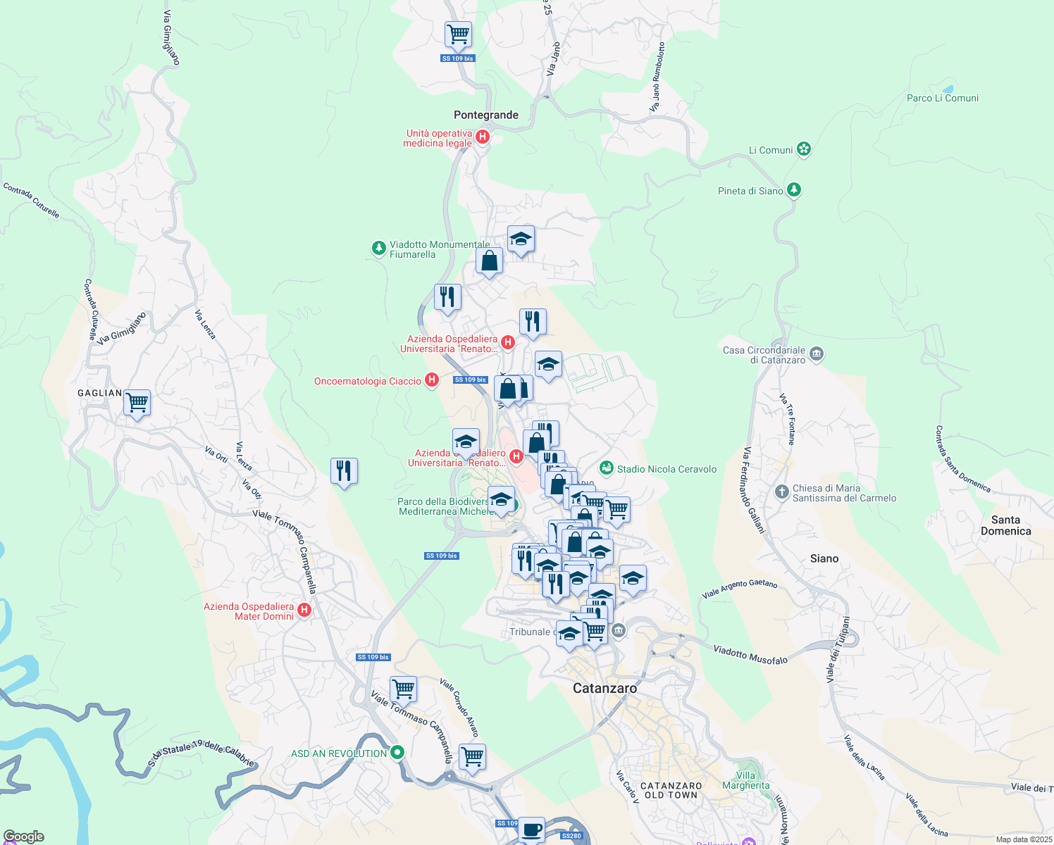 map of restaurants, bars, coffee shops, grocery stores, and more near 162 Viale Pio X in Catanzaro