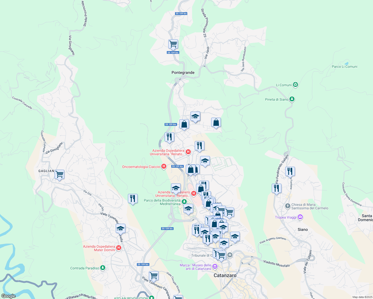 map of restaurants, bars, coffee shops, grocery stores, and more near 204 Viale Papa Pio X in Catanzaro
