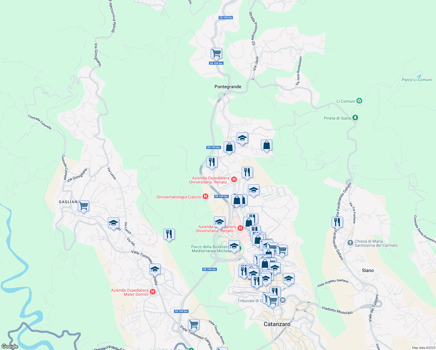 map of restaurants, bars, coffee shops, grocery stores, and more near 14 Traversa Via Giovanni Fiore in Catanzaro