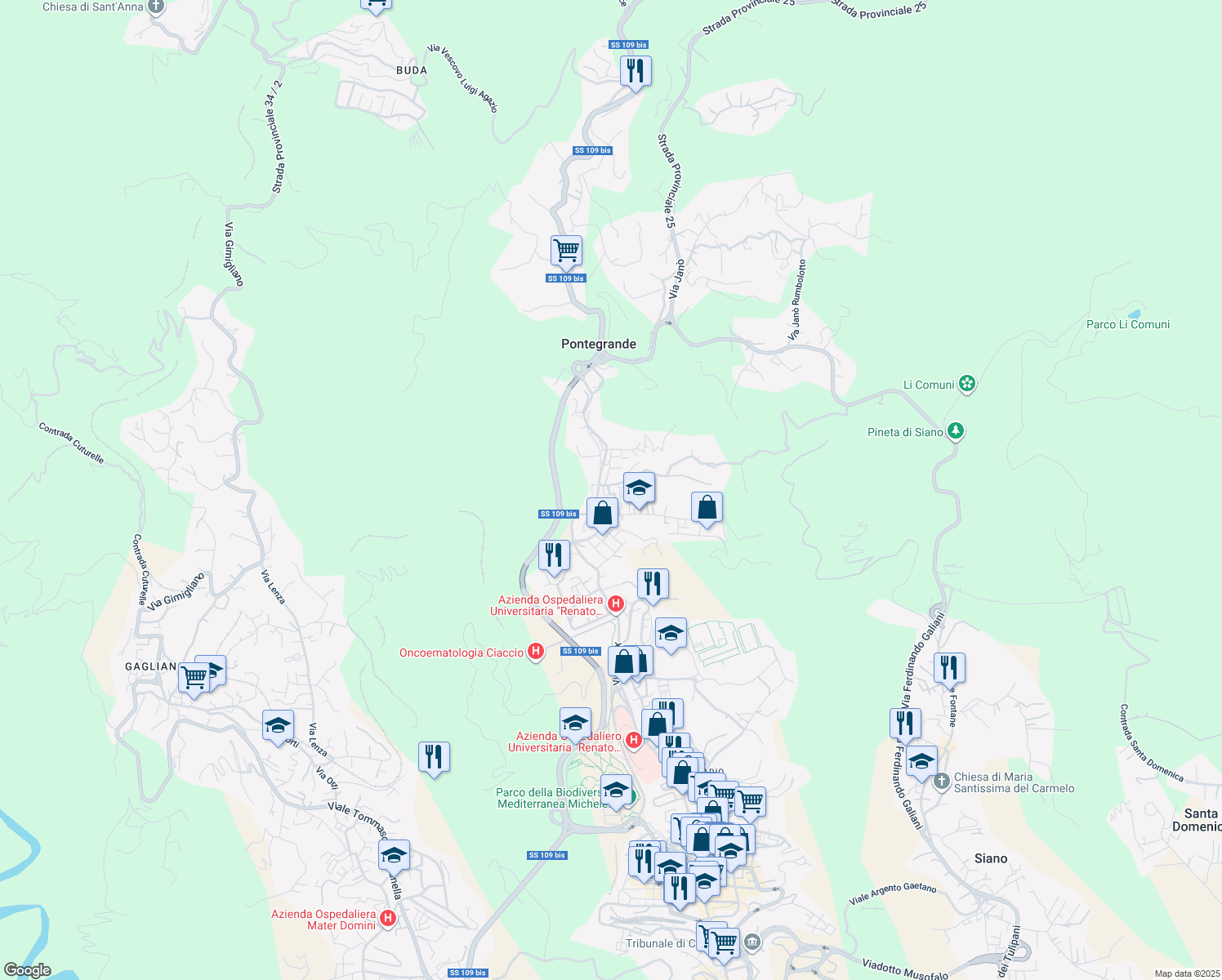 map of restaurants, bars, coffee shops, grocery stores, and more near Via Nicola Lombardi in Catanzaro