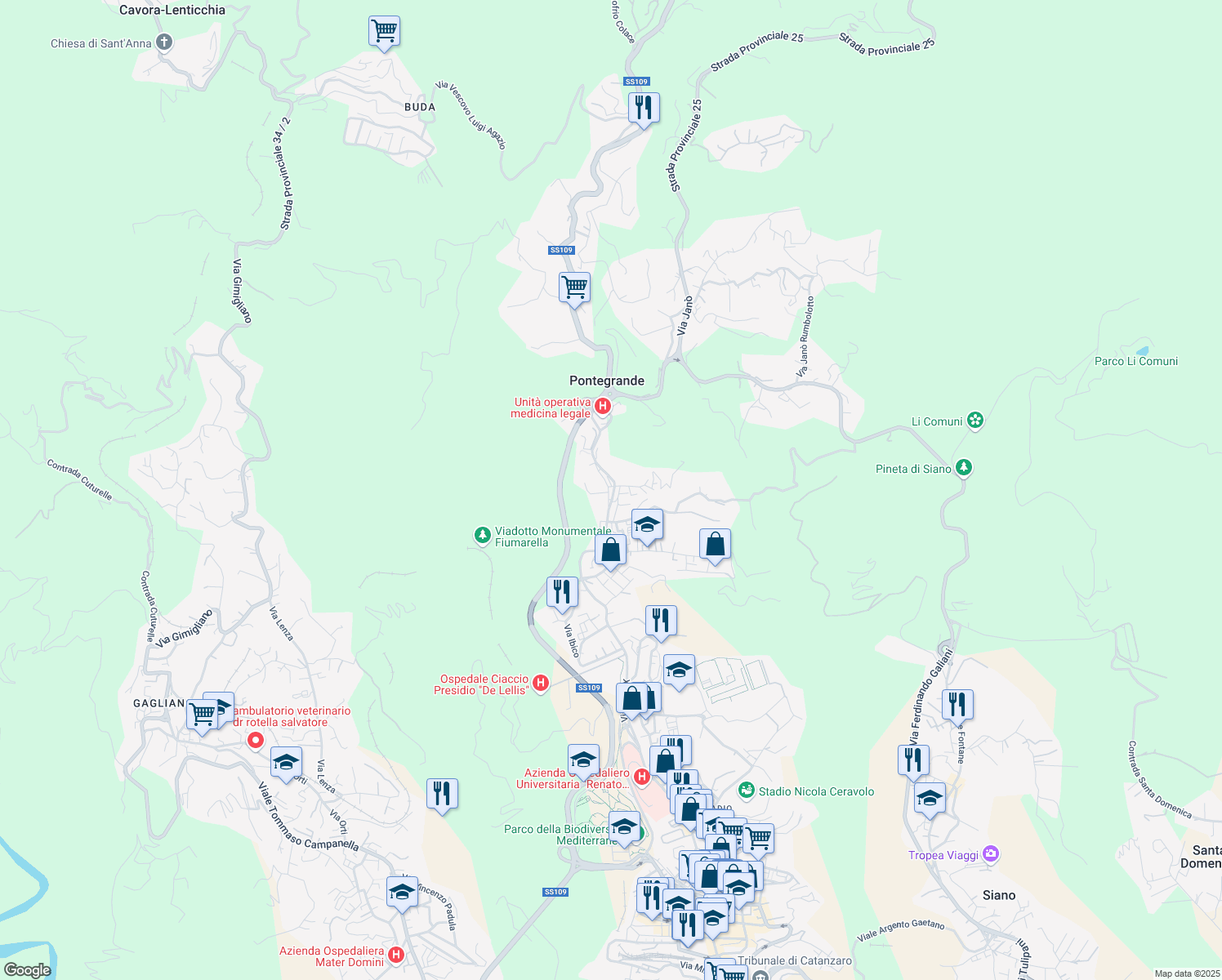 map of restaurants, bars, coffee shops, grocery stores, and more near 160-164 Via Ettore Vitale in Catanzaro