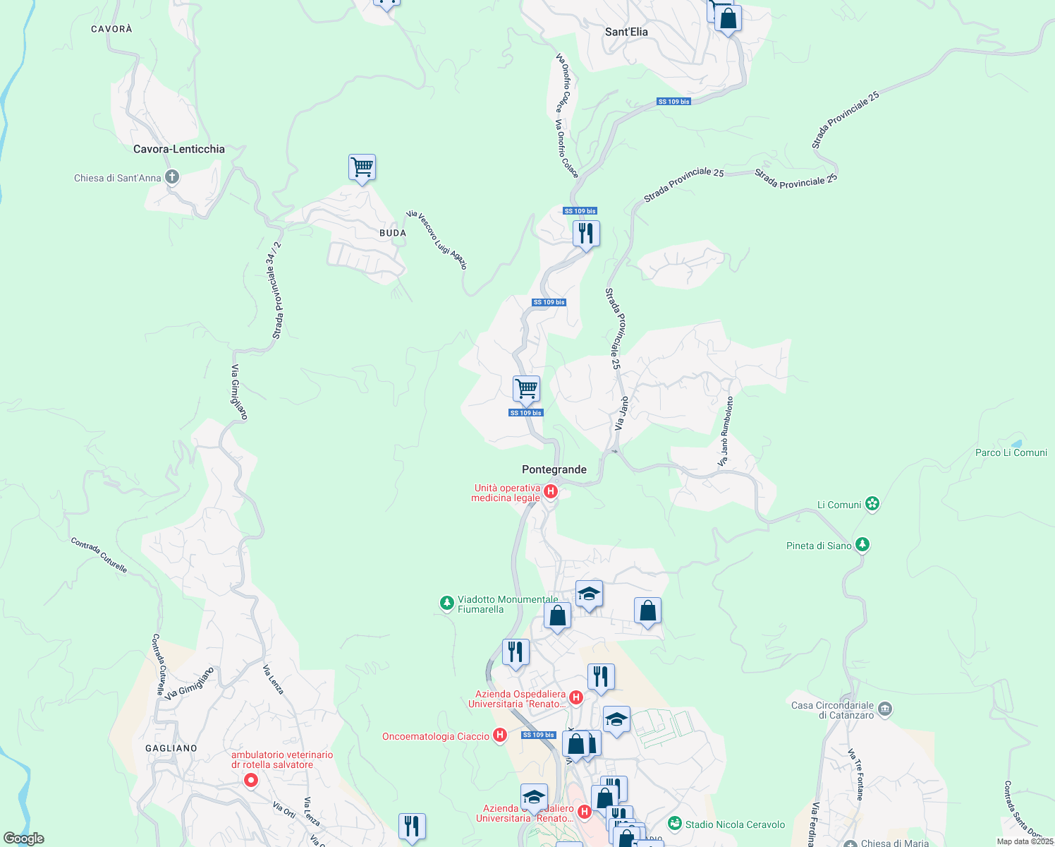 map of restaurants, bars, coffee shops, grocery stores, and more near 31 Viale Vincenzo Gattoleo in Catanzaro