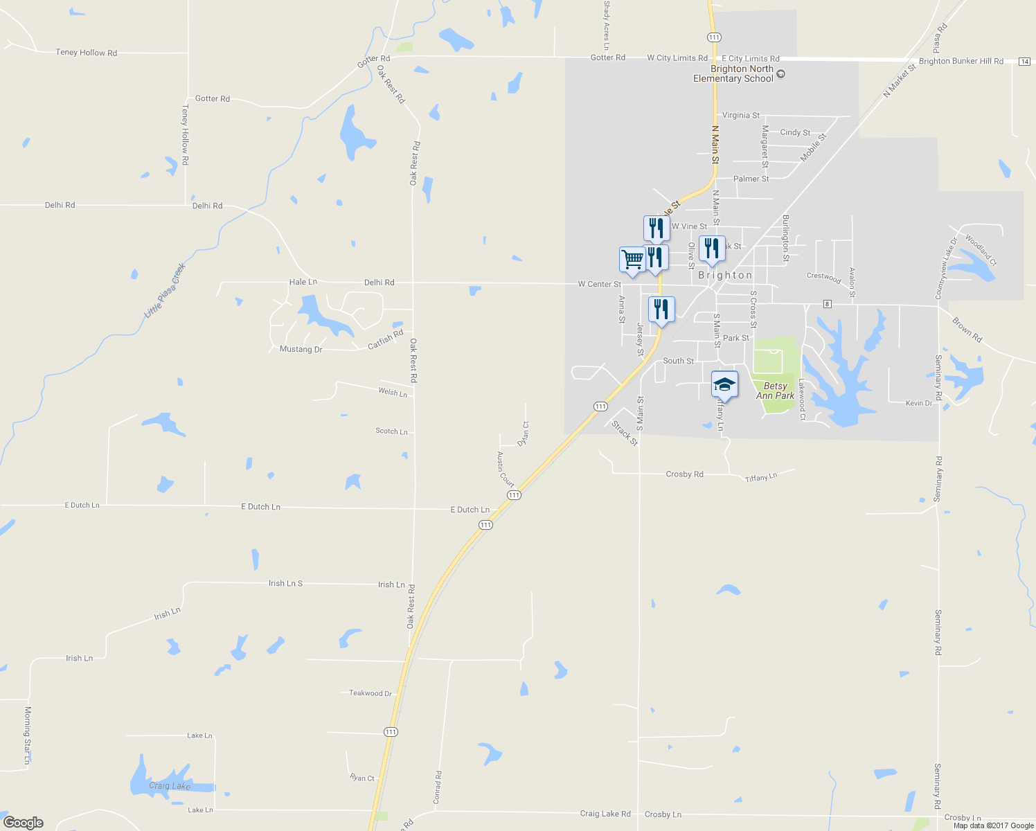 map of restaurants, bars, coffee shops, grocery stores, and more near 117 Dylan Court in Brighton