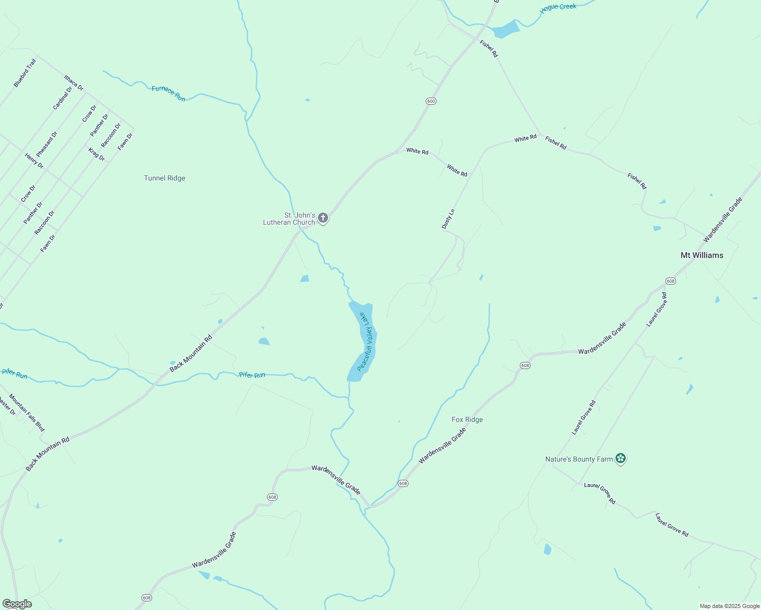 map of restaurants, bars, coffee shops, grocery stores, and more near 534 Dusty Lane in Winchester