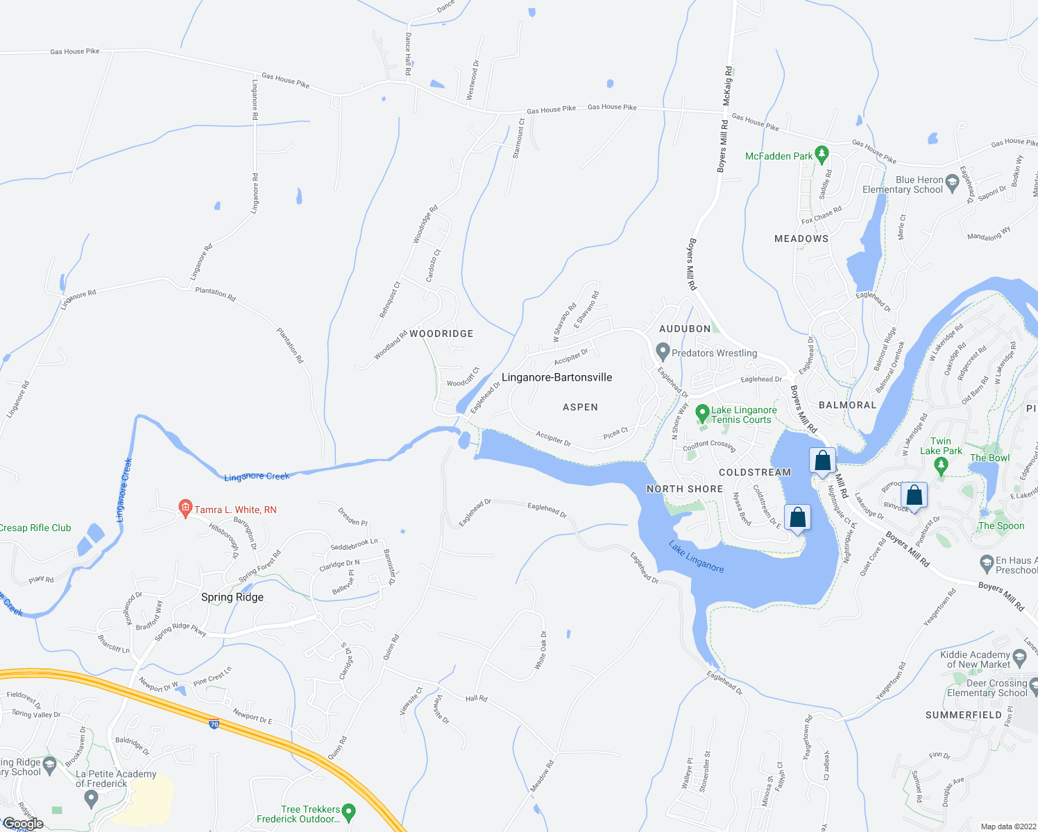 map of restaurants, bars, coffee shops, grocery stores, and more near 6724 Accipiter Drive in New Market