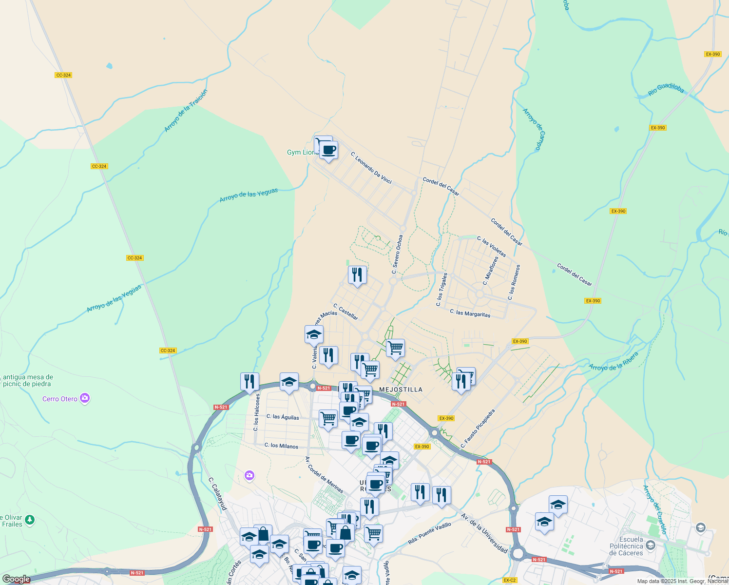 map of restaurants, bars, coffee shops, grocery stores, and more near 24 Avenida los Narros in Cáceres