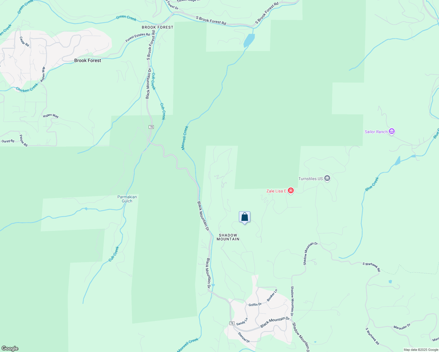 map of restaurants, bars, coffee shops, grocery stores, and more near 8513 Martin Lane in Conifer