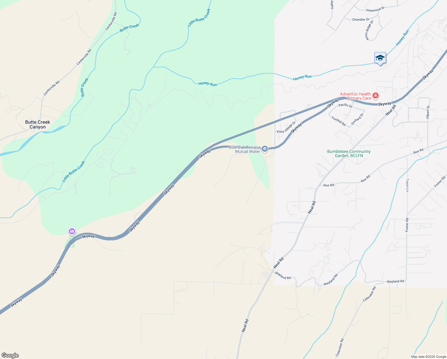 map of restaurants, bars, coffee shops, grocery stores, and more near 392 Bay Tree Drive in Paradise