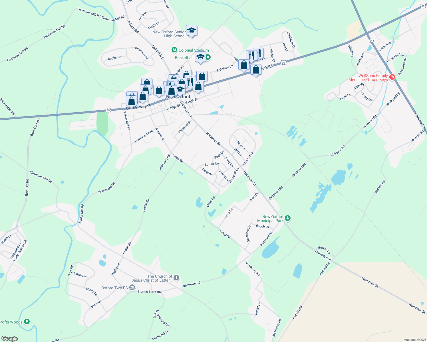 map of restaurants, bars, coffee shops, grocery stores, and more near 9 Carly Dr in New Oxford