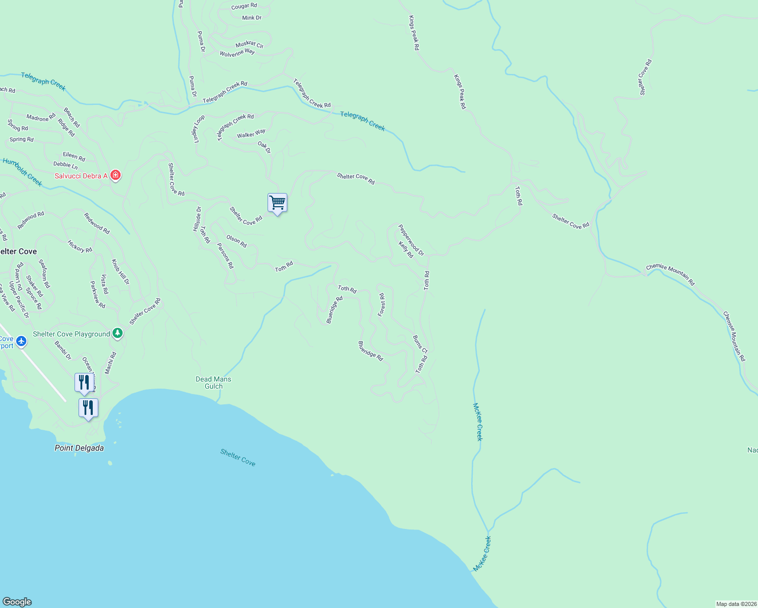 map of restaurants, bars, coffee shops, grocery stores, and more near 414 Forest Road in Whitethorn