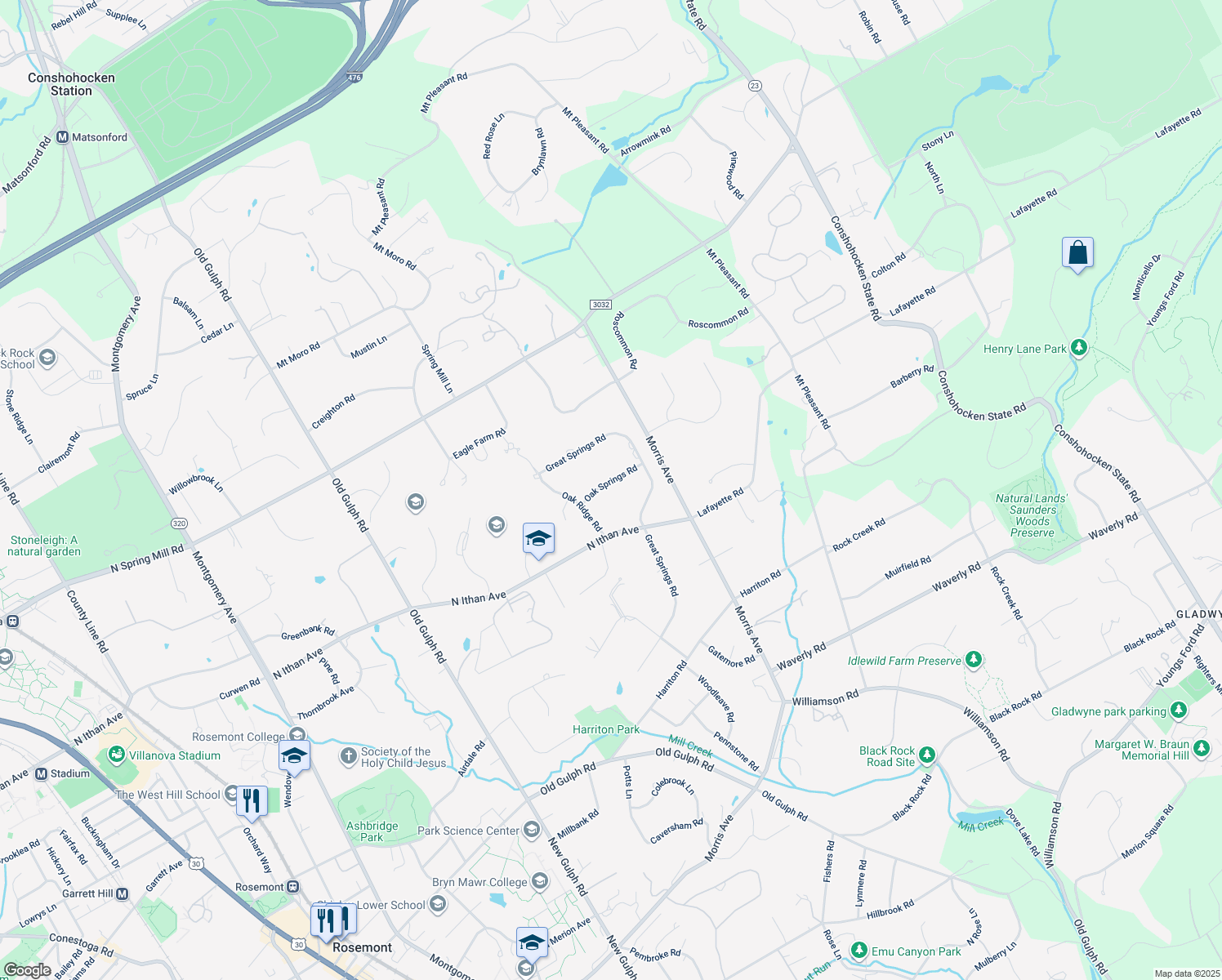 map of restaurants, bars, coffee shops, grocery stores, and more near 719 Oak Springs Road in Bryn Mawr