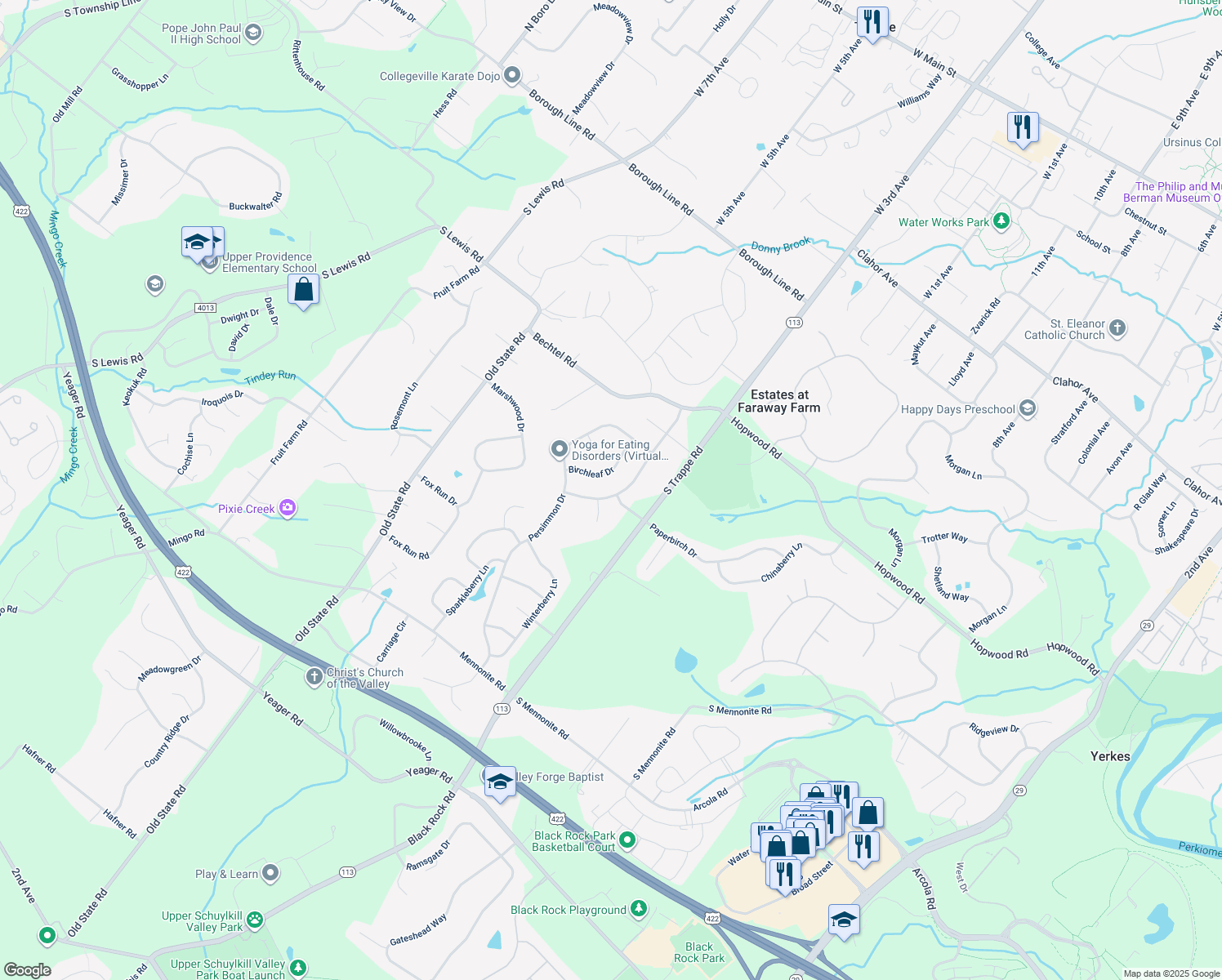 map of restaurants, bars, coffee shops, grocery stores, and more near 519 Tawnyberry Lane in Collegeville