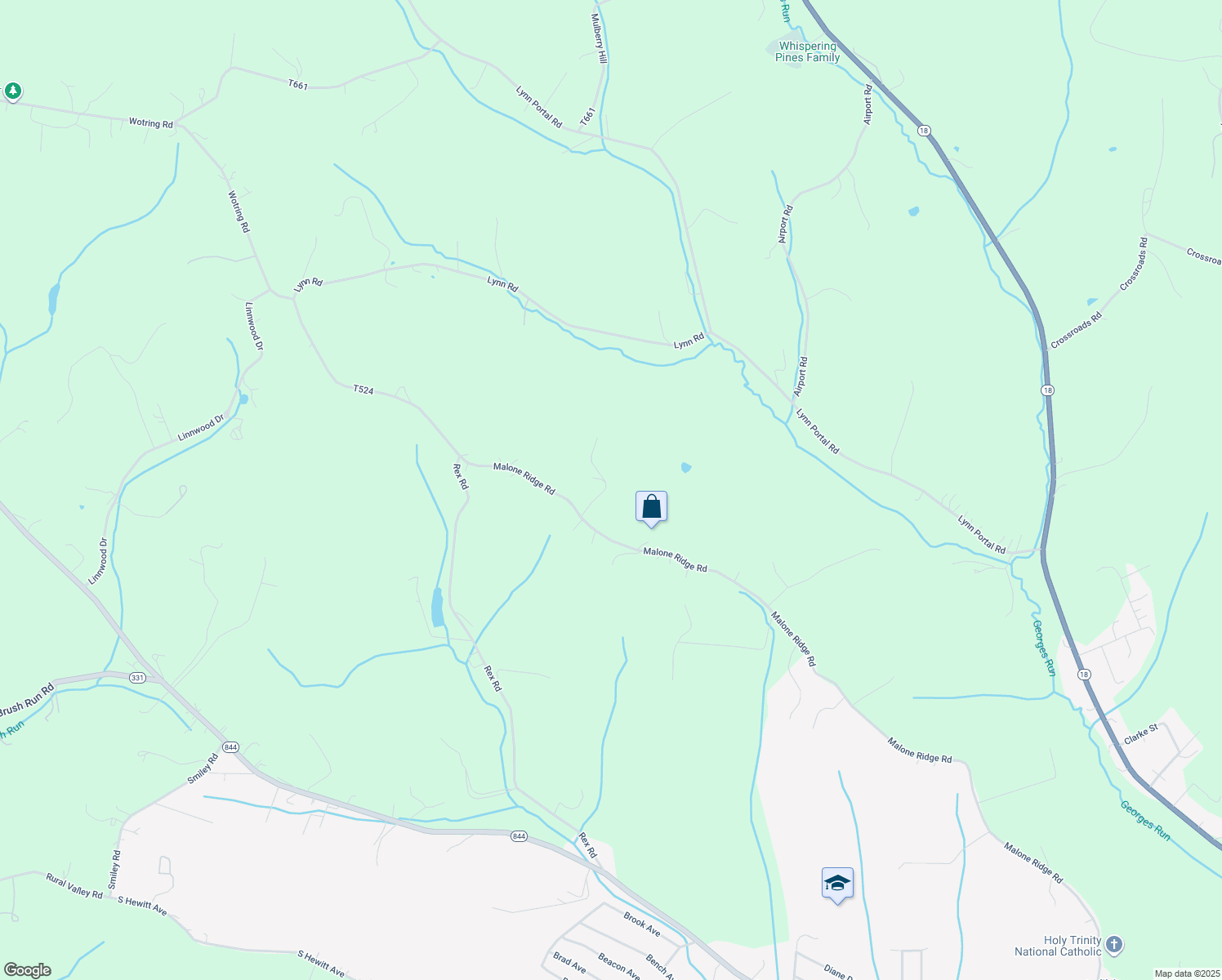 map of restaurants, bars, coffee shops, grocery stores, and more near 38 Wolfram Road in Washington