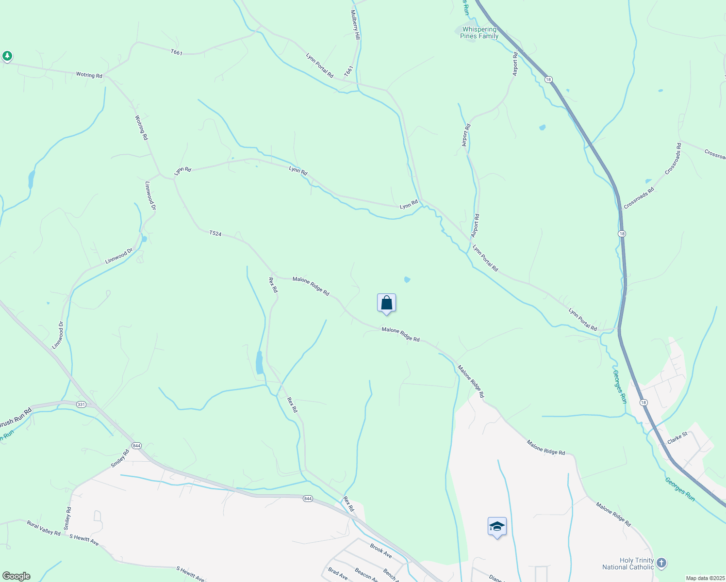 map of restaurants, bars, coffee shops, grocery stores, and more near 38 Wolfram Road in Washington