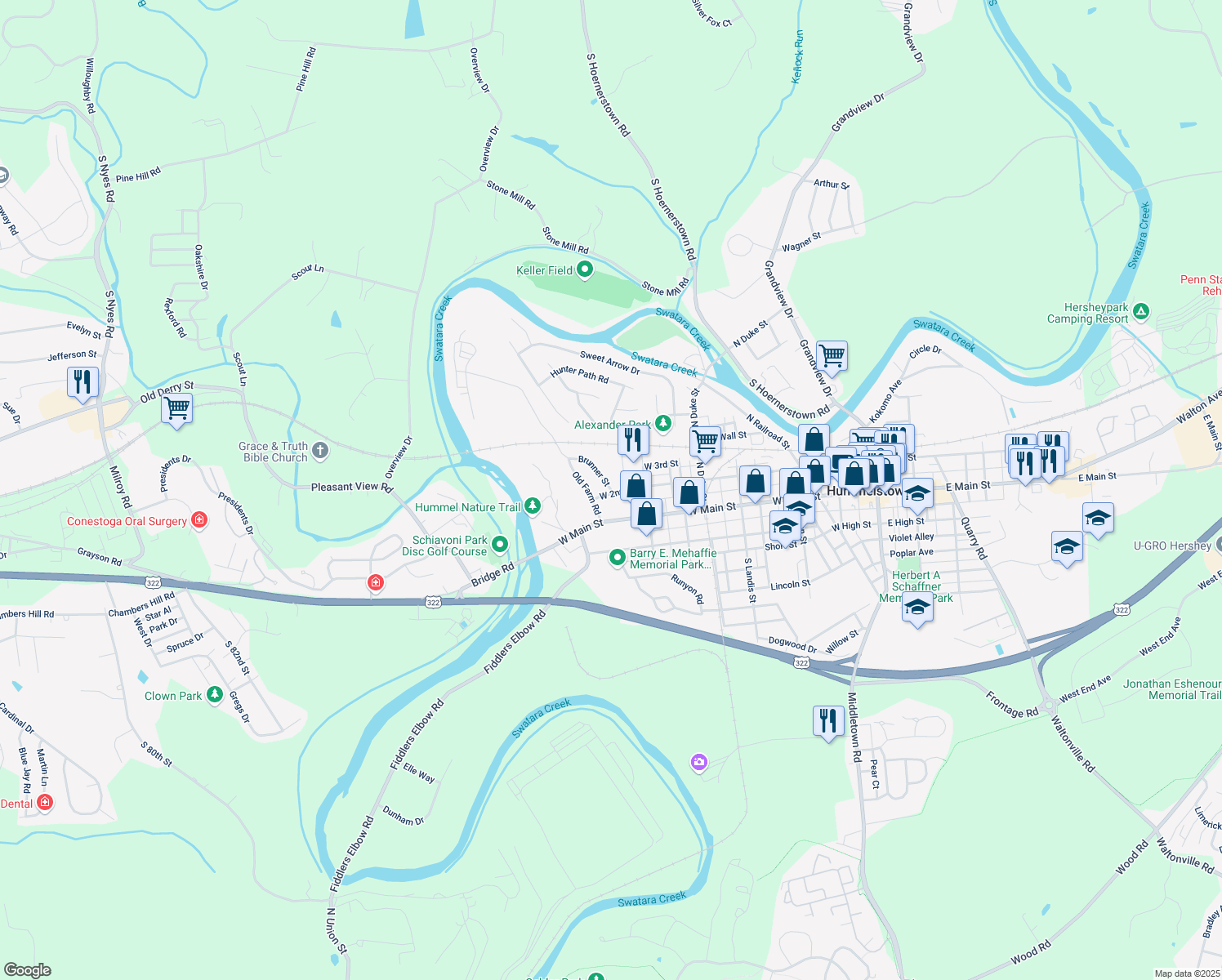map of restaurants, bars, coffee shops, grocery stores, and more near 107 Brunner St in Hummelstown