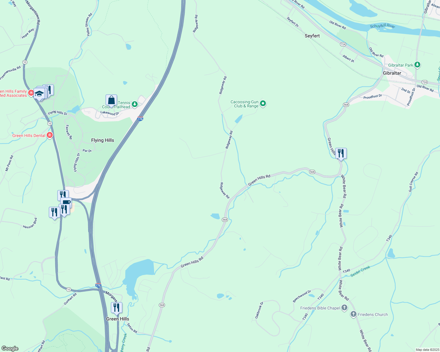 map of restaurants, bars, coffee shops, grocery stores, and more near 843 Ridgeway Road in Birdsboro