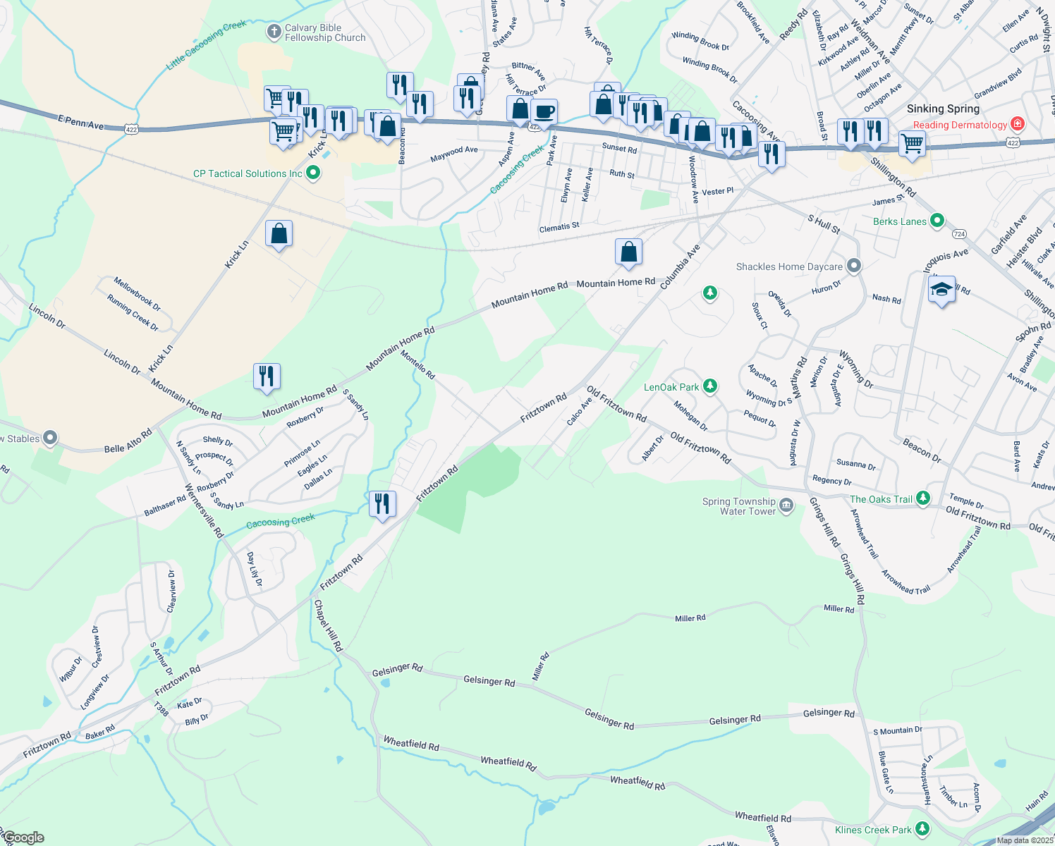 map of restaurants, bars, coffee shops, grocery stores, and more near 554 Fritztown Road in Sinking Spring