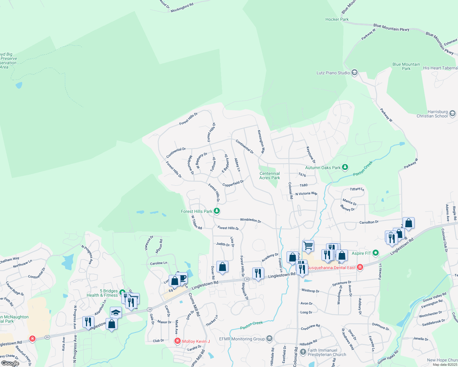 map of restaurants, bars, coffee shops, grocery stores, and more near 4108 Copperfield Drive in Harrisburg