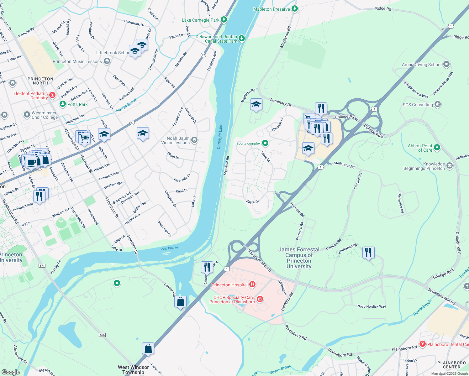 map of restaurants, bars, coffee shops, grocery stores, and more near 407 Sayre Drive in Princeton