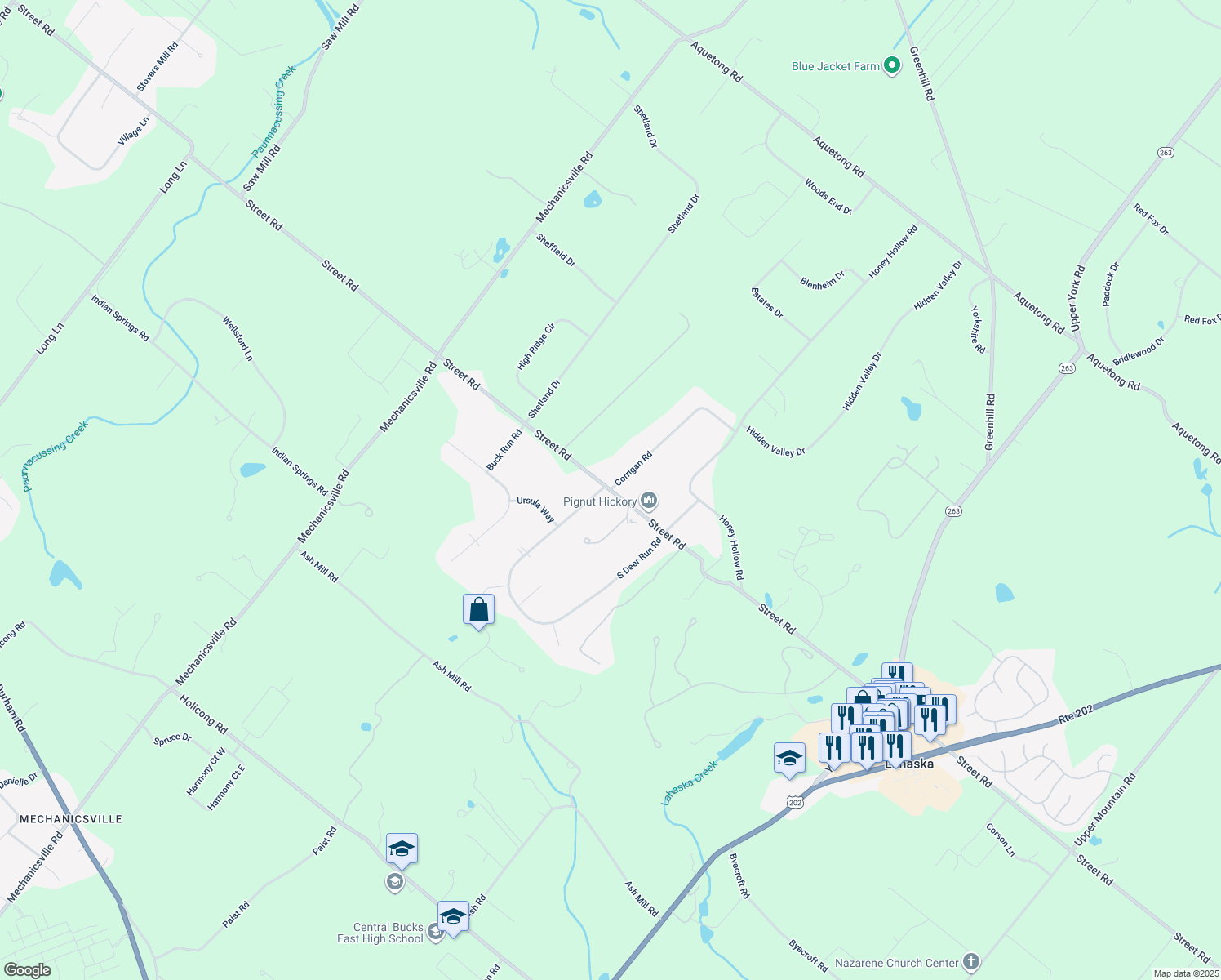 map of restaurants, bars, coffee shops, grocery stores, and more near 2971 Street Rd in Doylestown