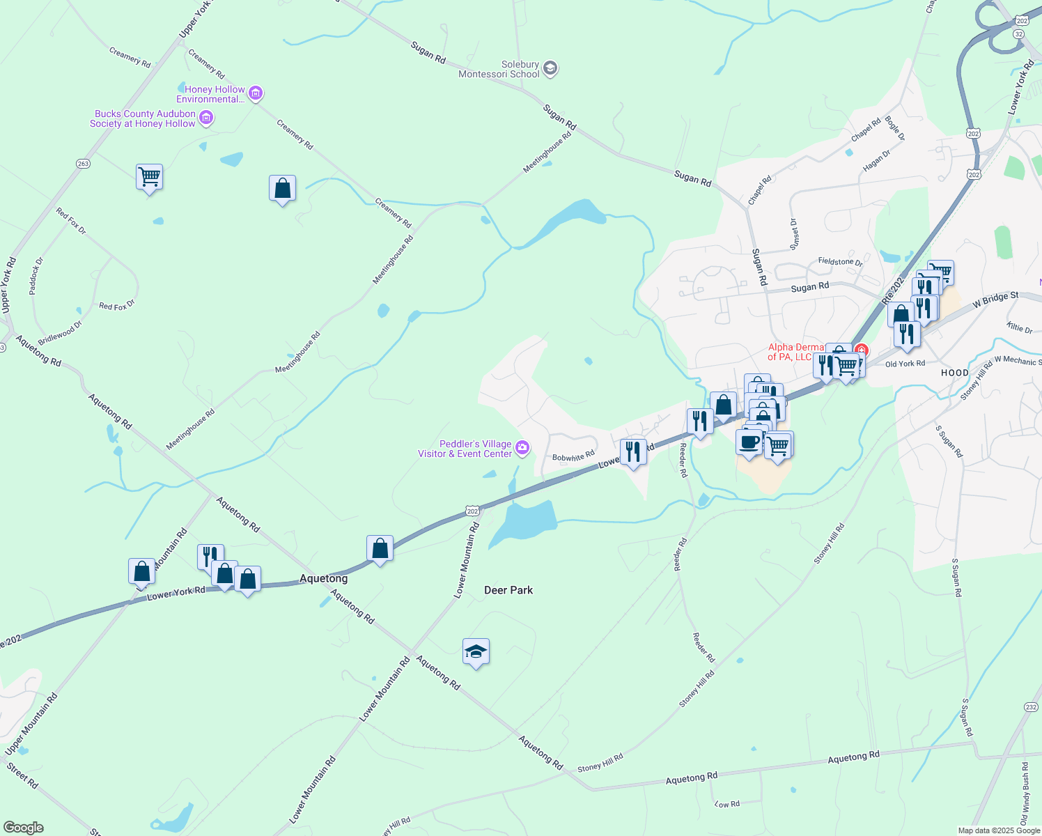 map of restaurants, bars, coffee shops, grocery stores, and more near 304 Blue Heron Court in New Hope
