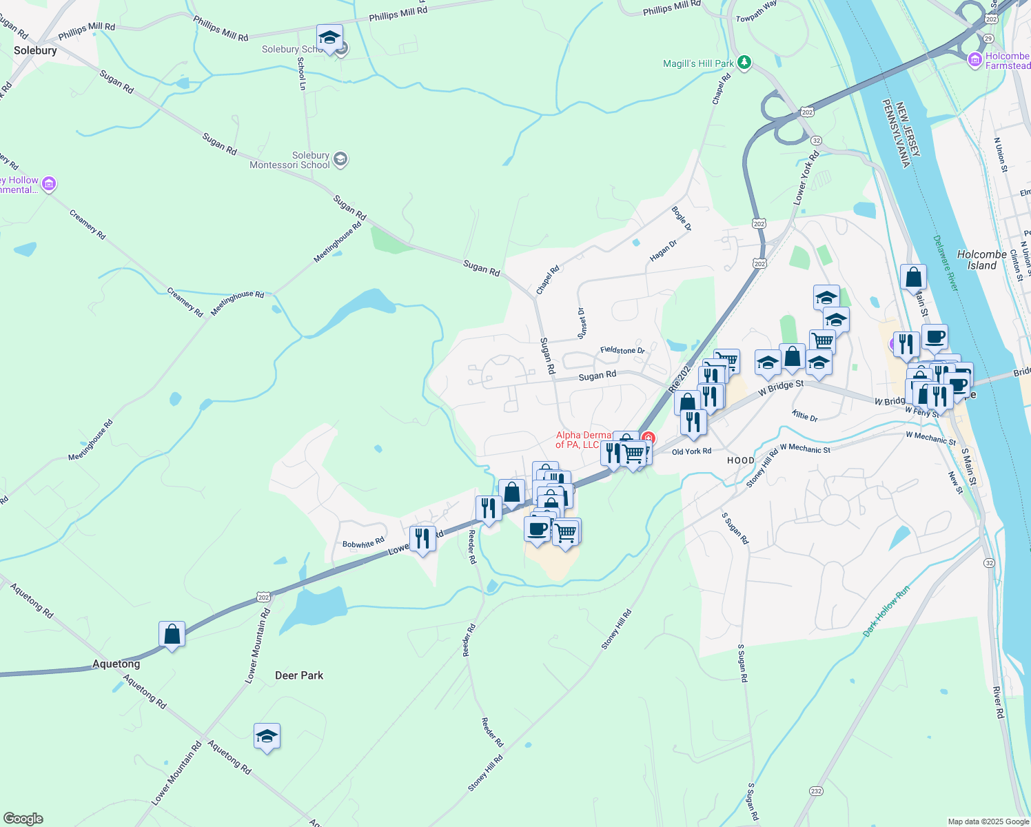 map of restaurants, bars, coffee shops, grocery stores, and more near 835 Breckenridge Court in New Hope