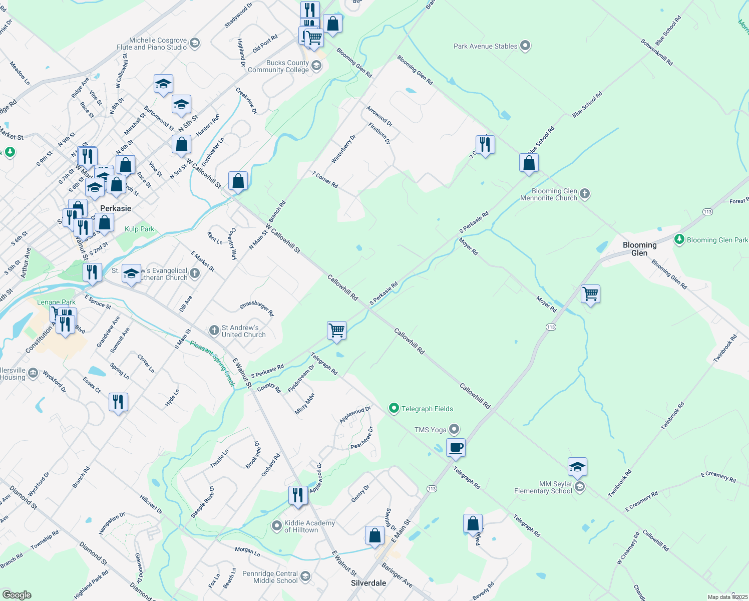 map of restaurants, bars, coffee shops, grocery stores, and more near 420 South Perkasie Road in Perkasie