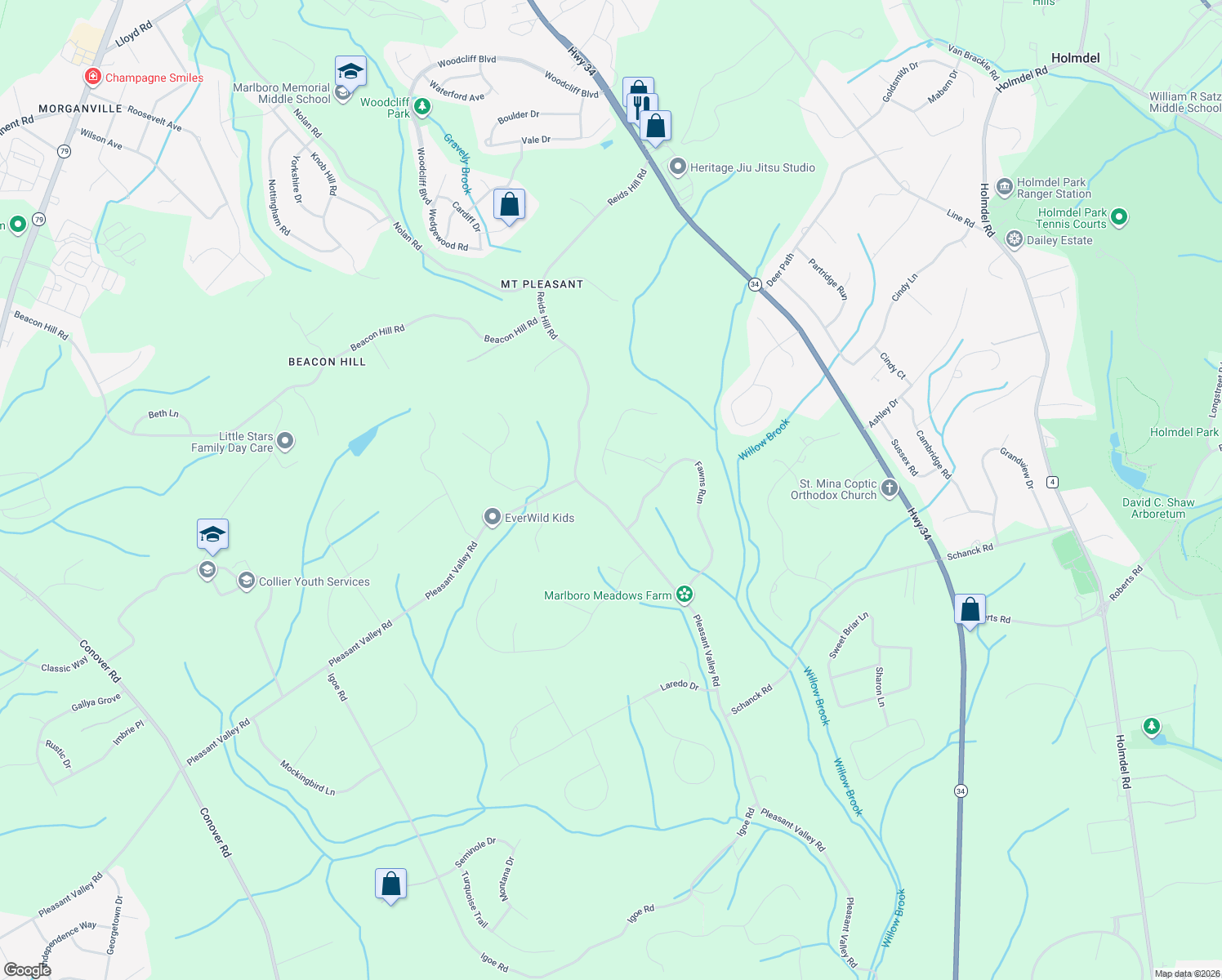 map of restaurants, bars, coffee shops, grocery stores, and more near 206 Doe Trail in Marlboro