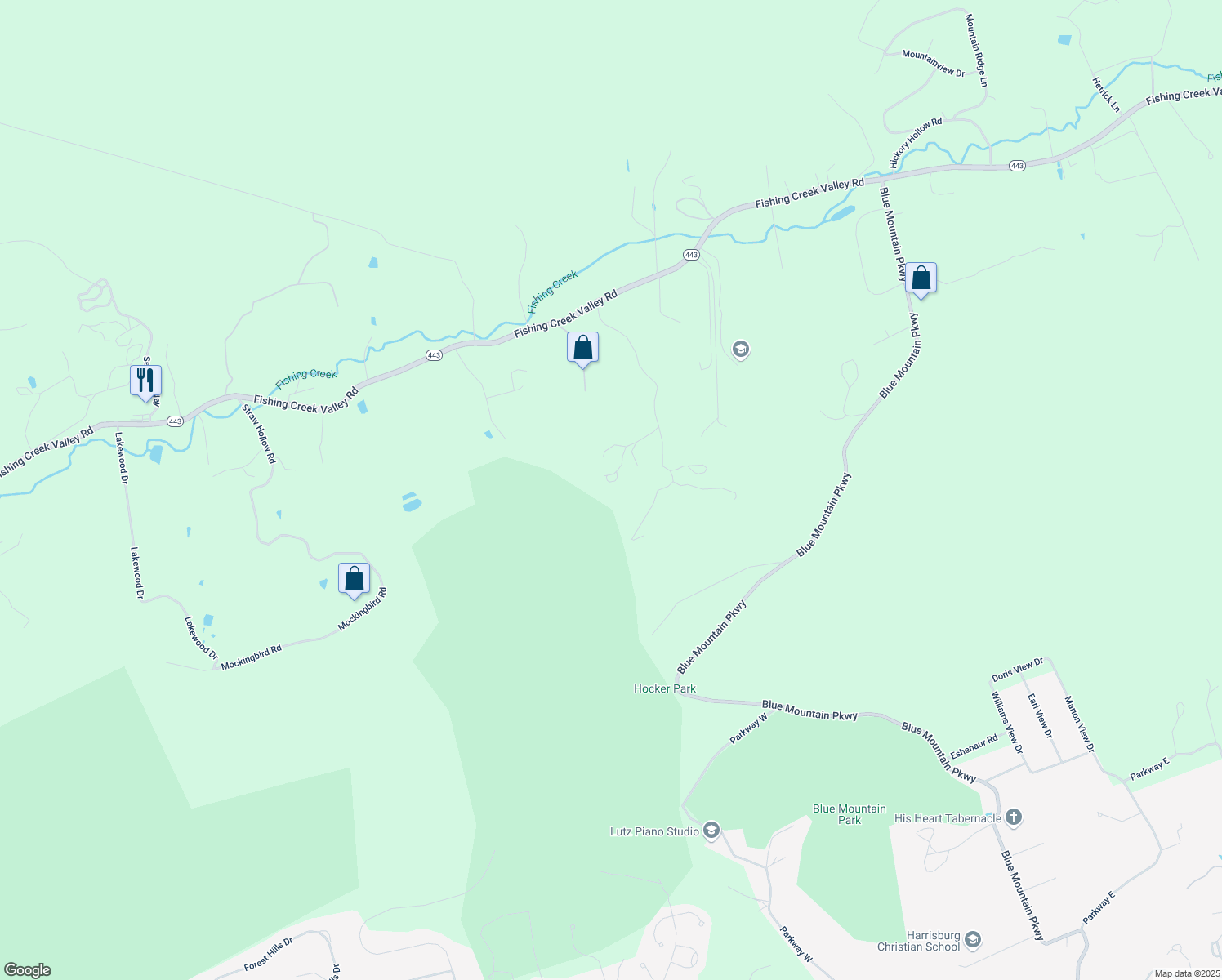 map of restaurants, bars, coffee shops, grocery stores, and more near 551 Lesentier Lane in Harrisburg