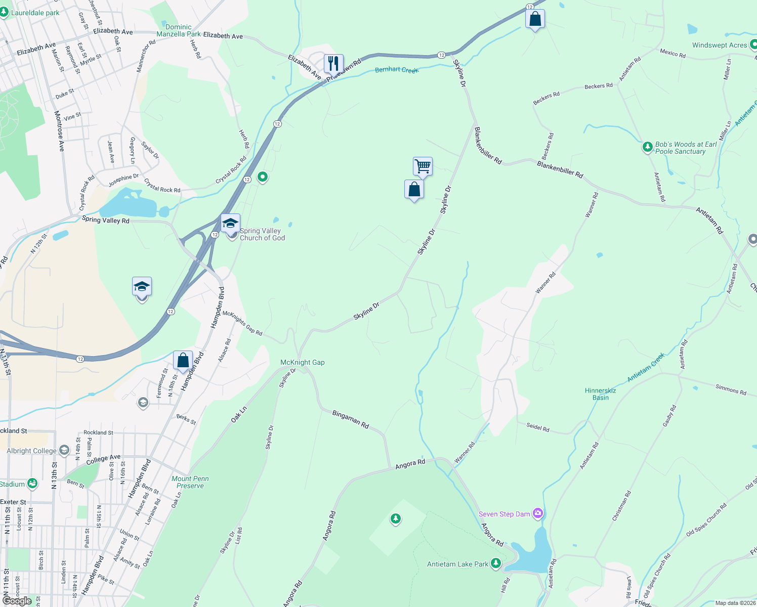 map of restaurants, bars, coffee shops, grocery stores, and more near 256 Skyline Dr in Reading