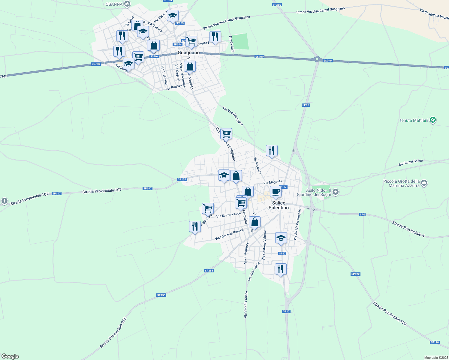 map of restaurants, bars, coffee shops, grocery stores, and more near 203 Via Pasquale Leone in Salice Salentino