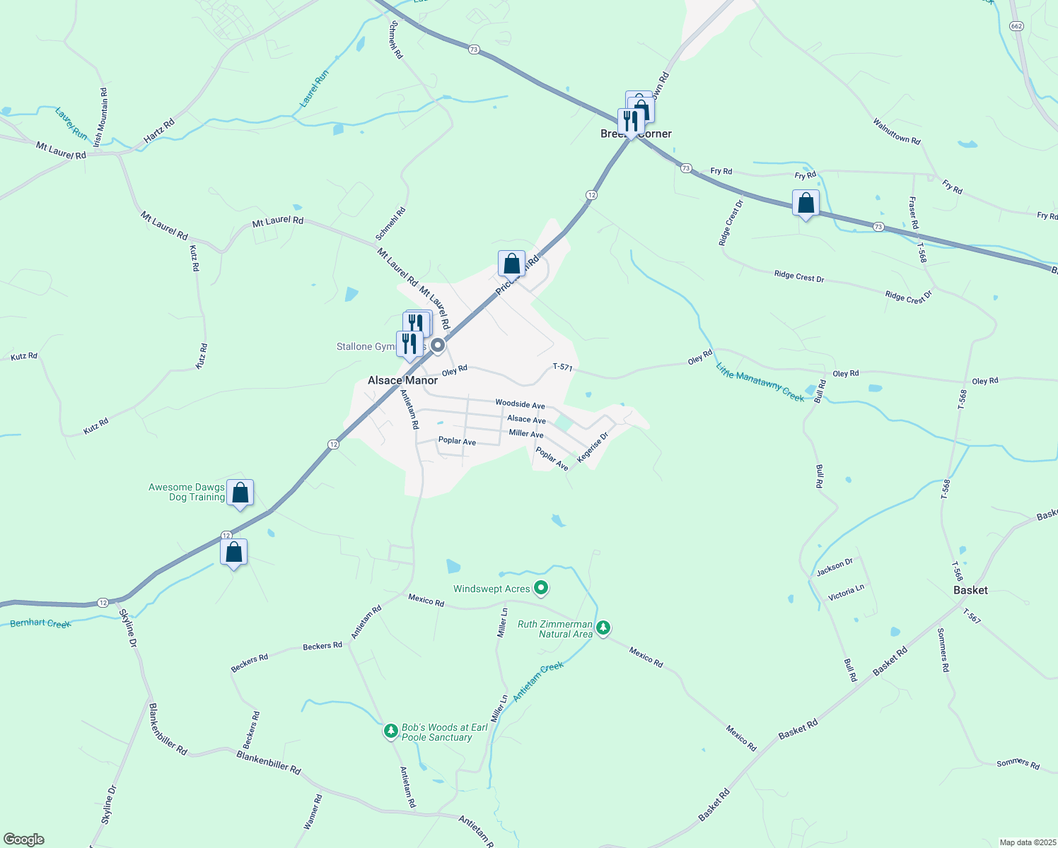 map of restaurants, bars, coffee shops, grocery stores, and more near 49 Alsace Avenue in Temple