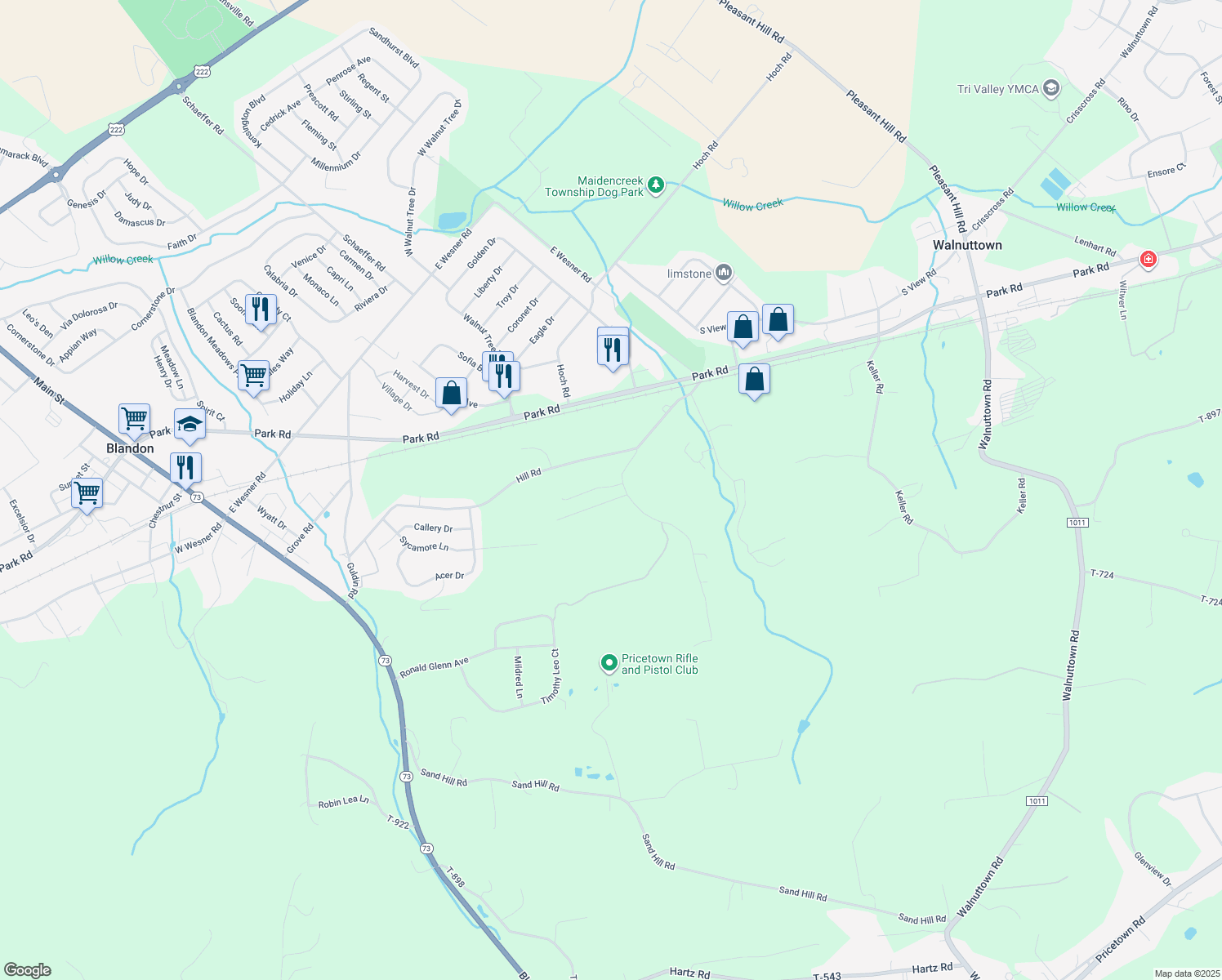 117 Allison Place, Blandon PA Walk Score