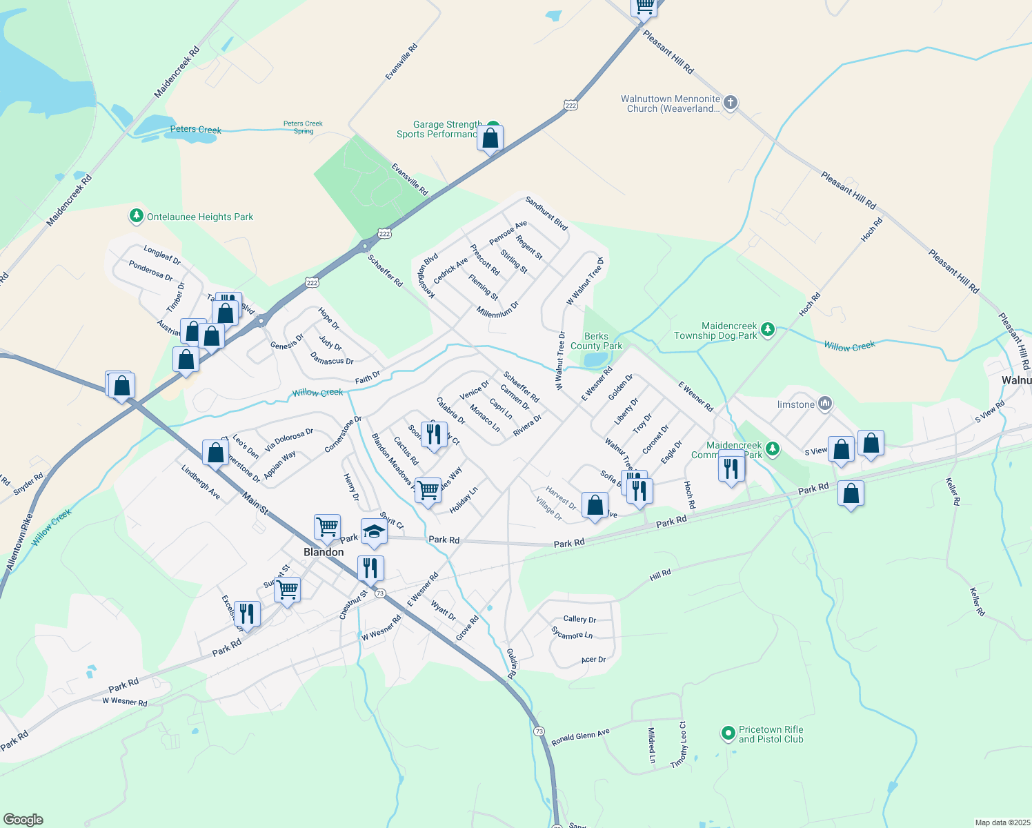 map of restaurants, bars, coffee shops, grocery stores, and more near 217 Capri Lane in Blandon
