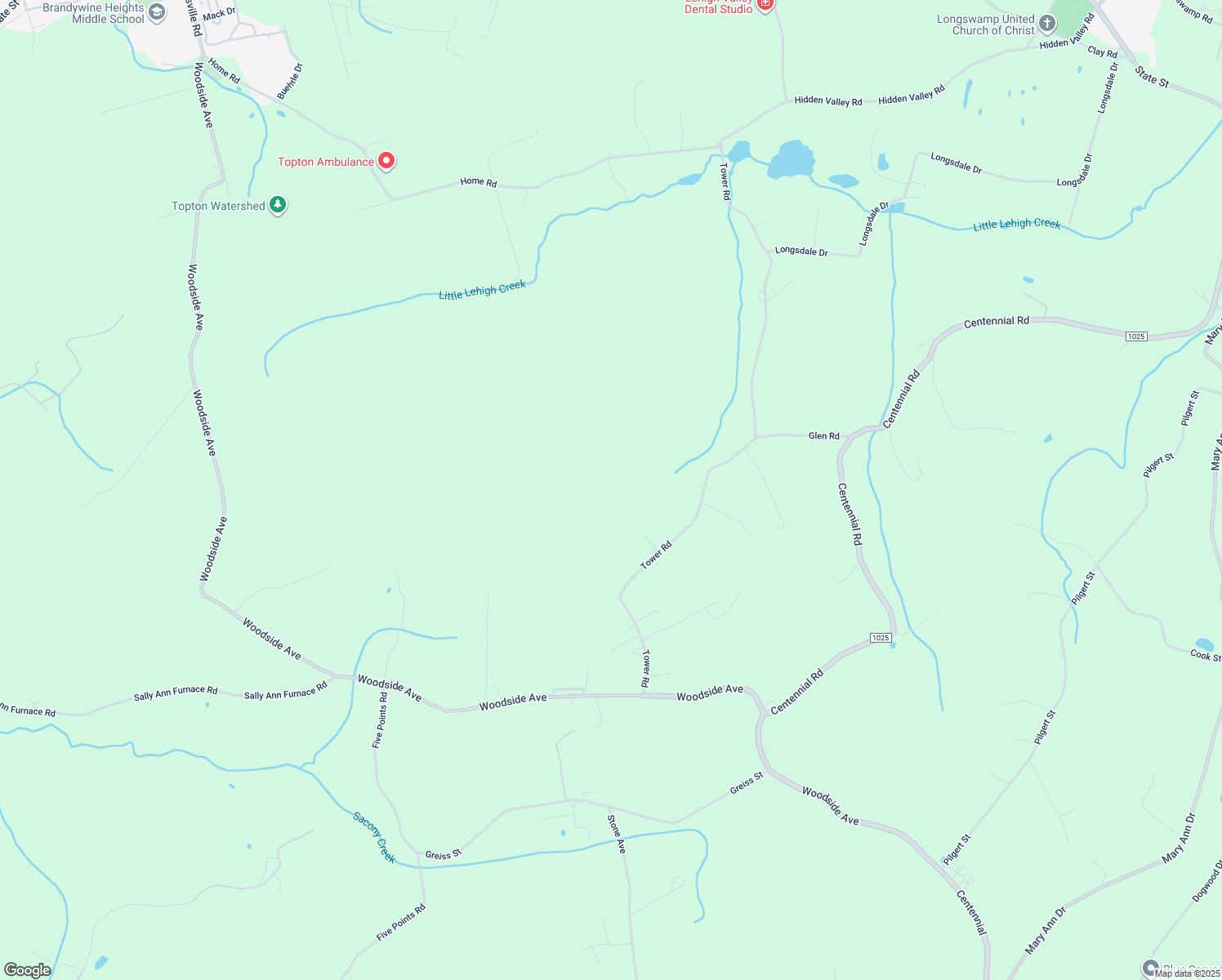 map of restaurants, bars, coffee shops, grocery stores, and more near 863 Tower Rd in Alburtis