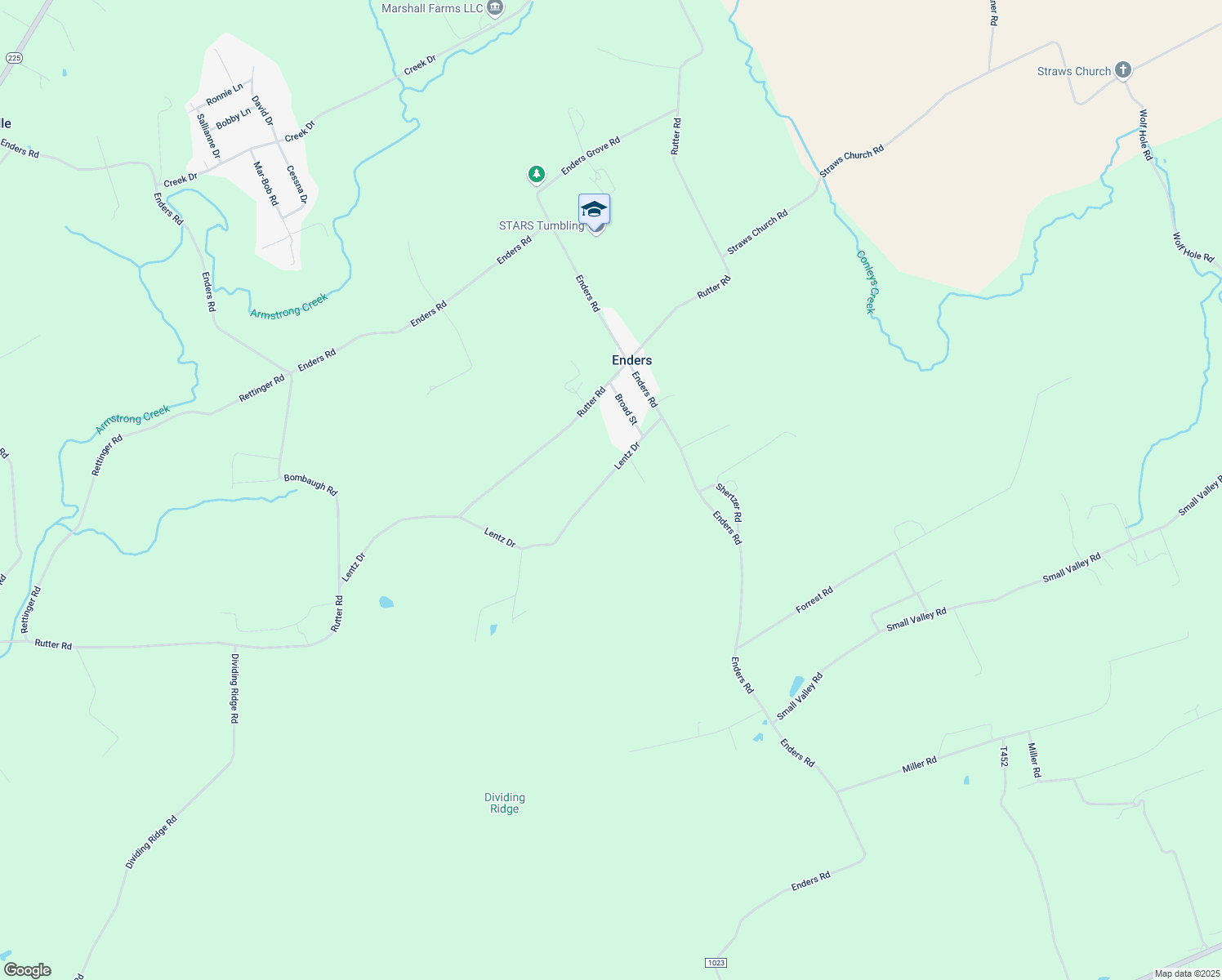 map of restaurants, bars, coffee shops, grocery stores, and more near 175 Lentz Dr in Halifax