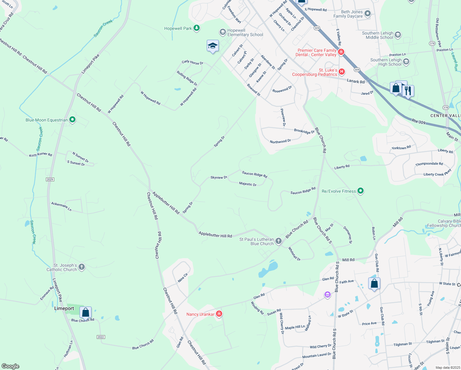 map of restaurants, bars, coffee shops, grocery stores, and more near 5220 Majestic Drive in Coopersburg