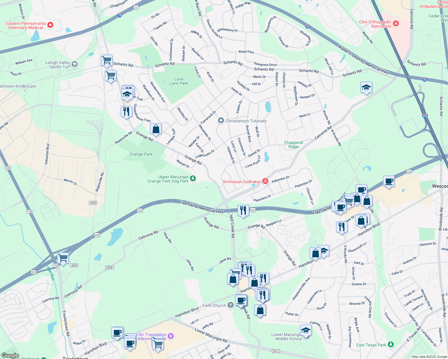 map of restaurants, bars, coffee shops, grocery stores, and more near 411 Daniel St in Allentown