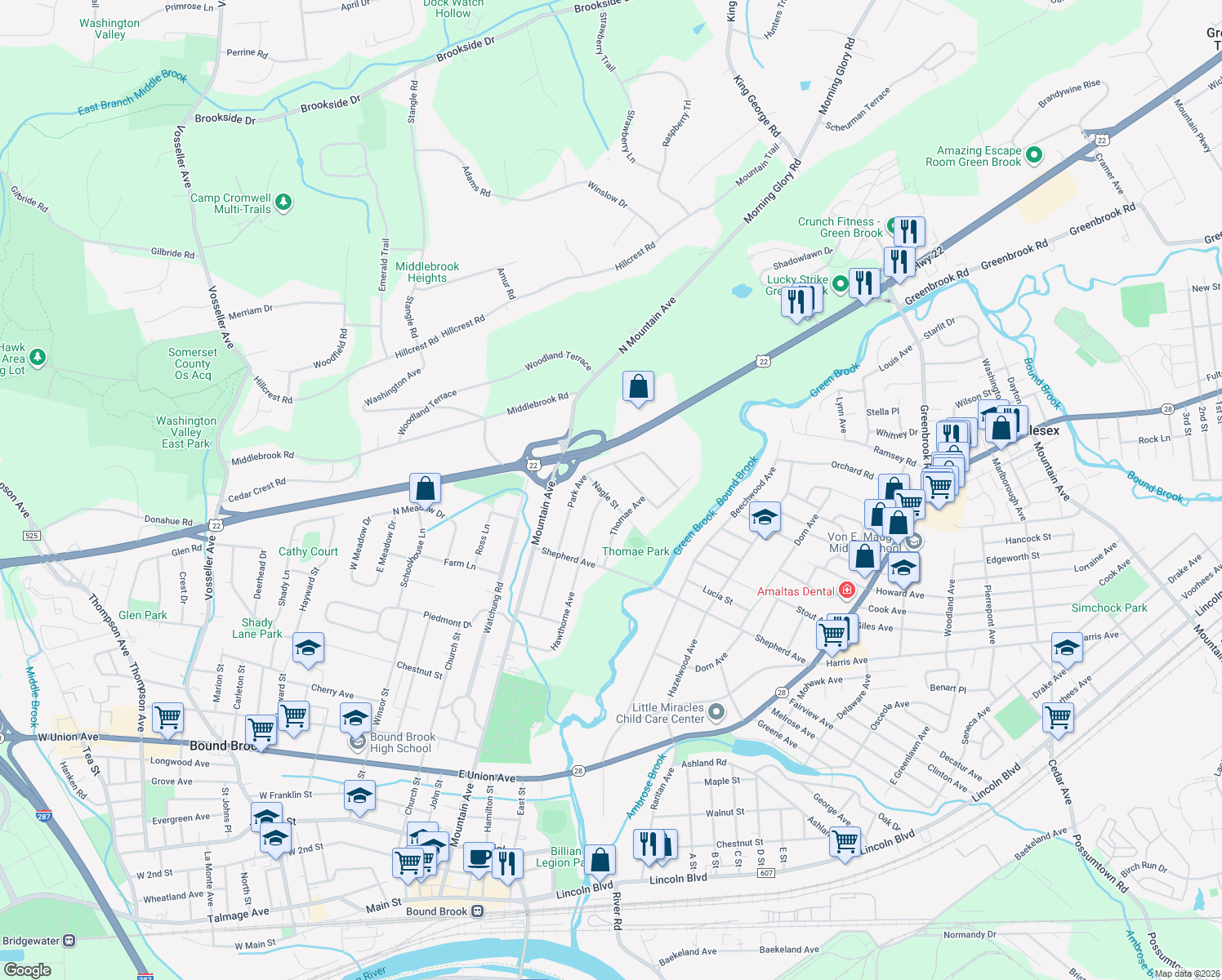 map of restaurants, bars, coffee shops, grocery stores, and more near 253 Nagle Street in Bound Brook