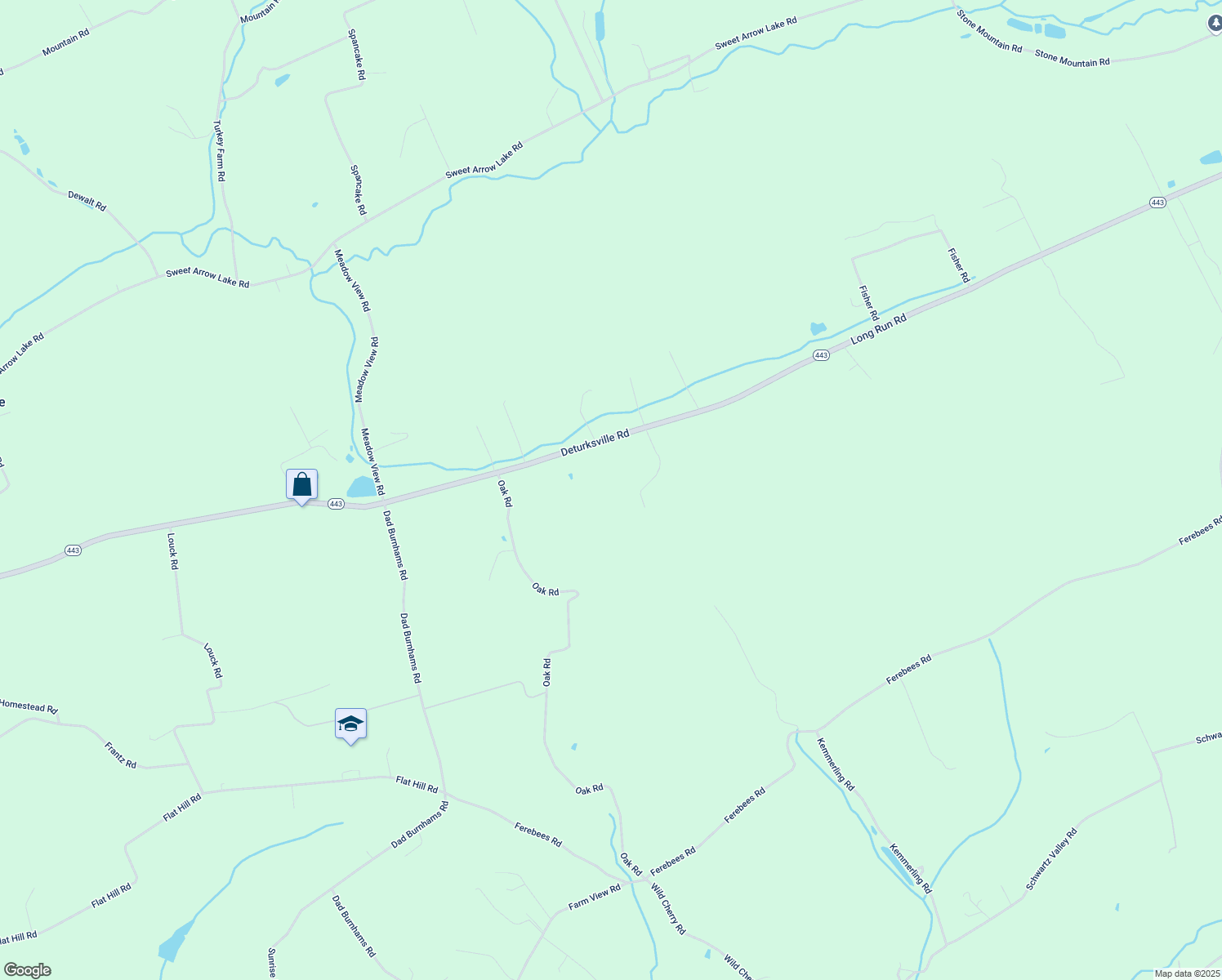 map of restaurants, bars, coffee shops, grocery stores, and more near 1114 Deturksville Road in Pine Grove