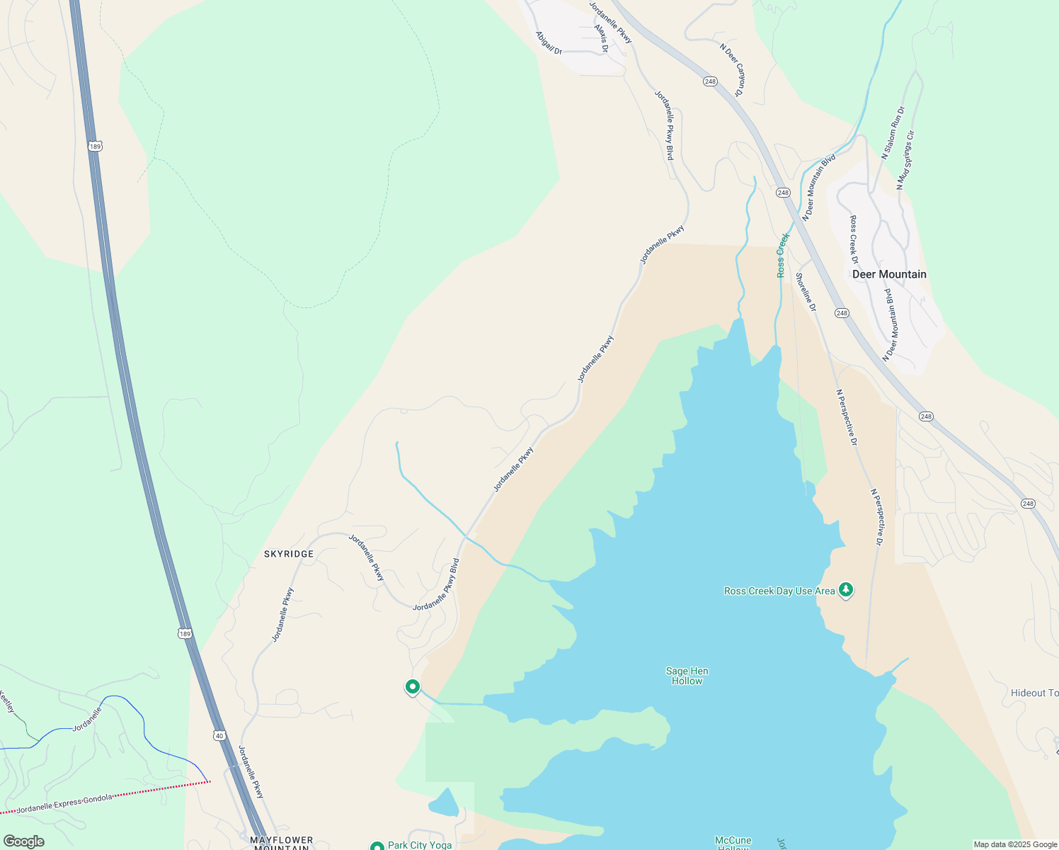 map of restaurants, bars, coffee shops, grocery stores, and more near 1249 Gemini Court in Daniel