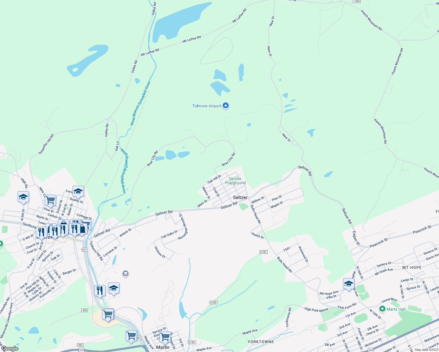 map of restaurants, bars, coffee shops, grocery stores, and more near Oak Hill Street in Seltzer