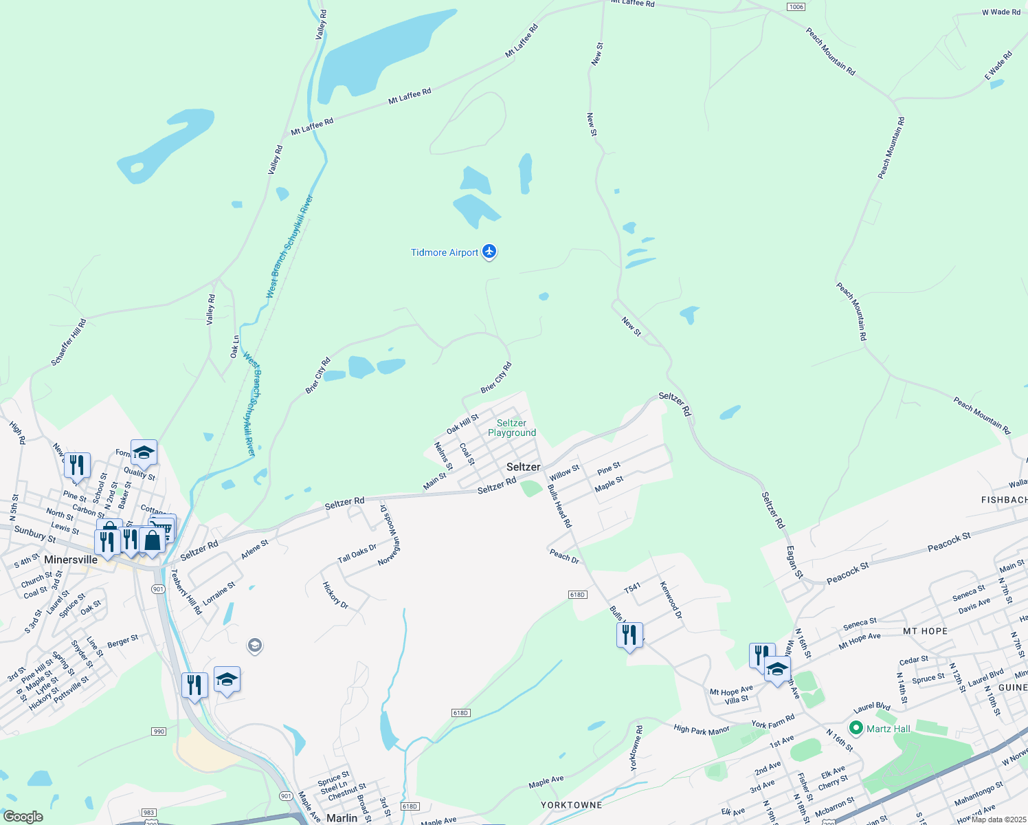 map of restaurants, bars, coffee shops, grocery stores, and more near 435 Delaware Street in Seltzer