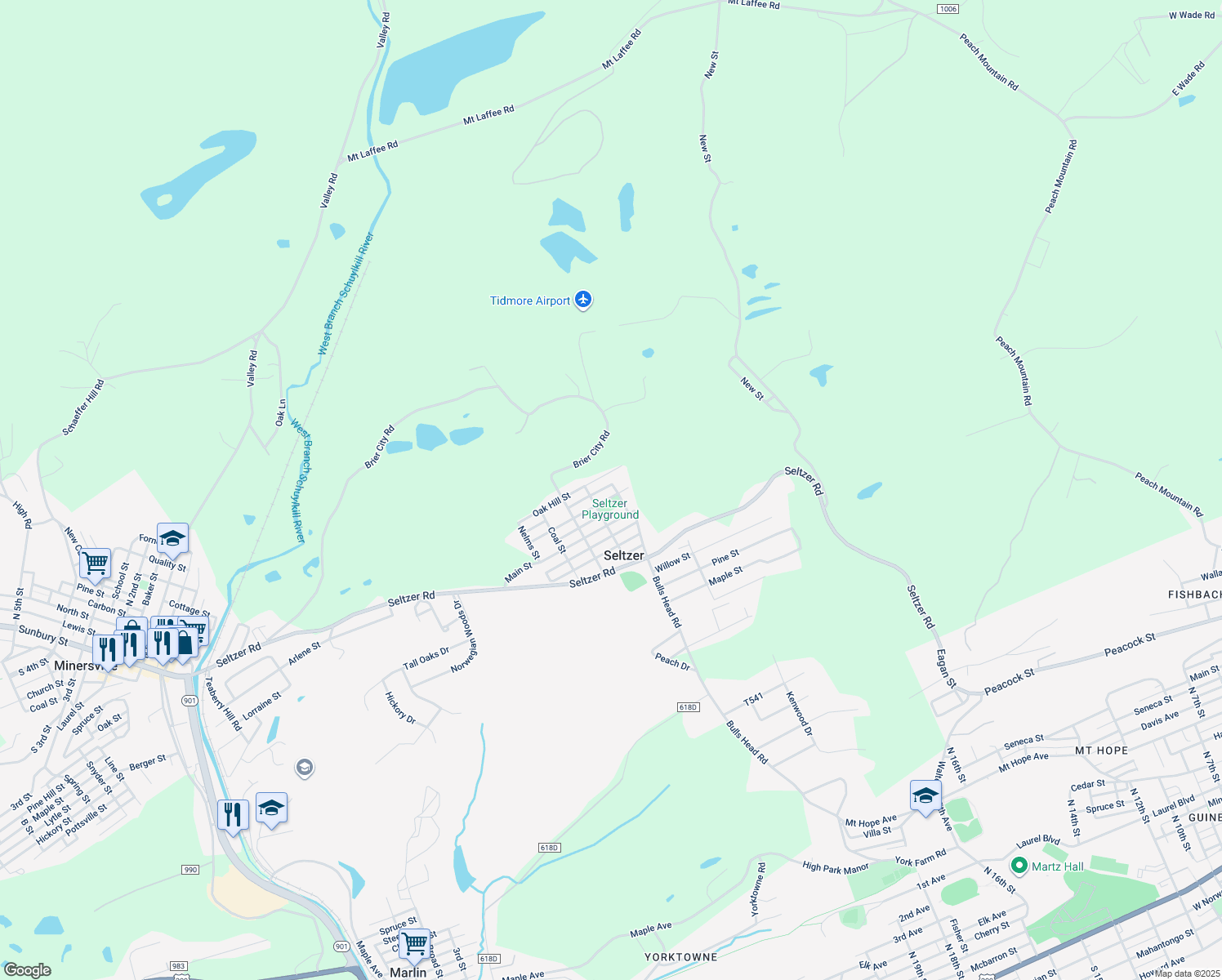 map of restaurants, bars, coffee shops, grocery stores, and more near 435 Delaware Street in Seltzer