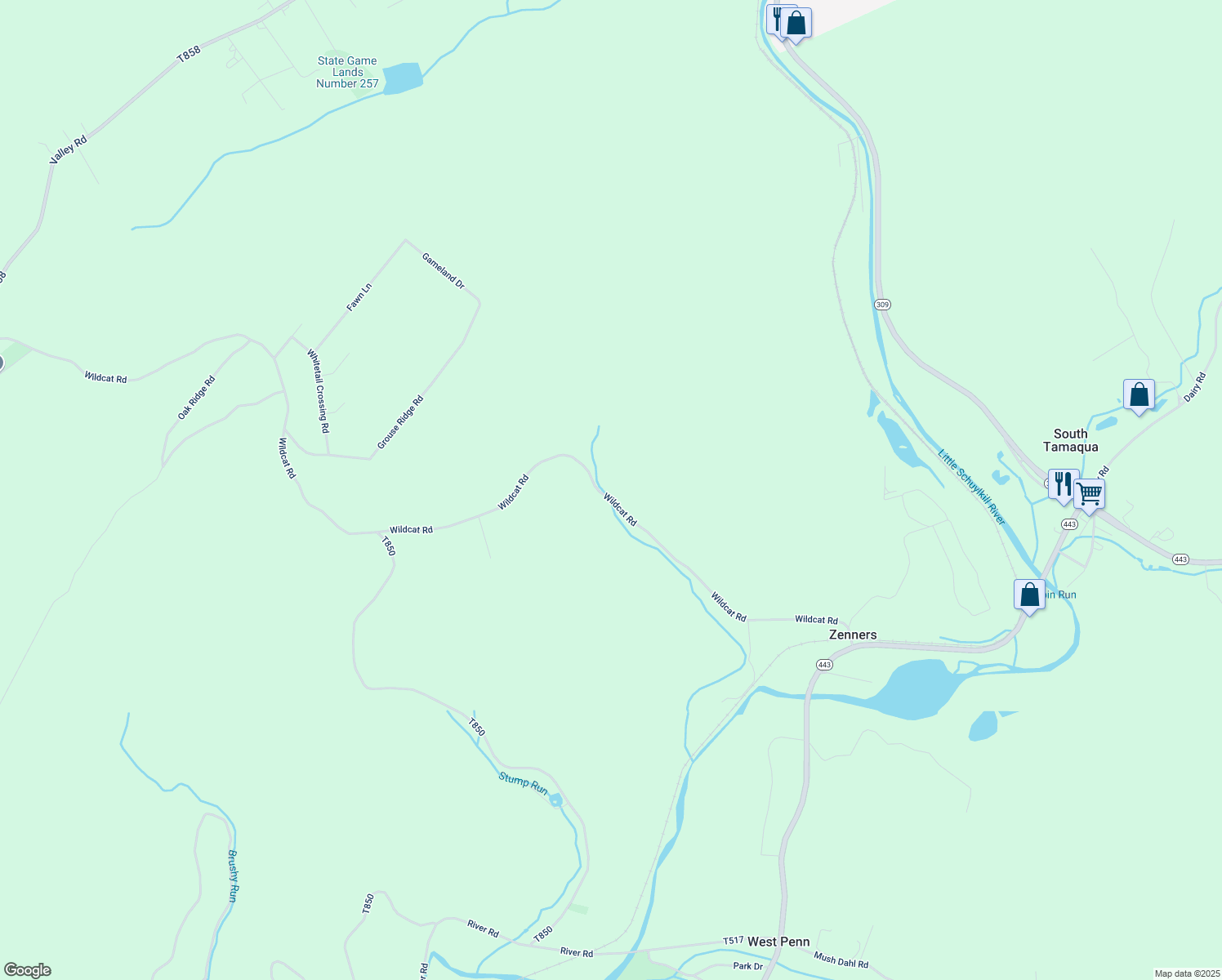 map of restaurants, bars, coffee shops, grocery stores, and more near 160 Wildcat Road in Tamaqua